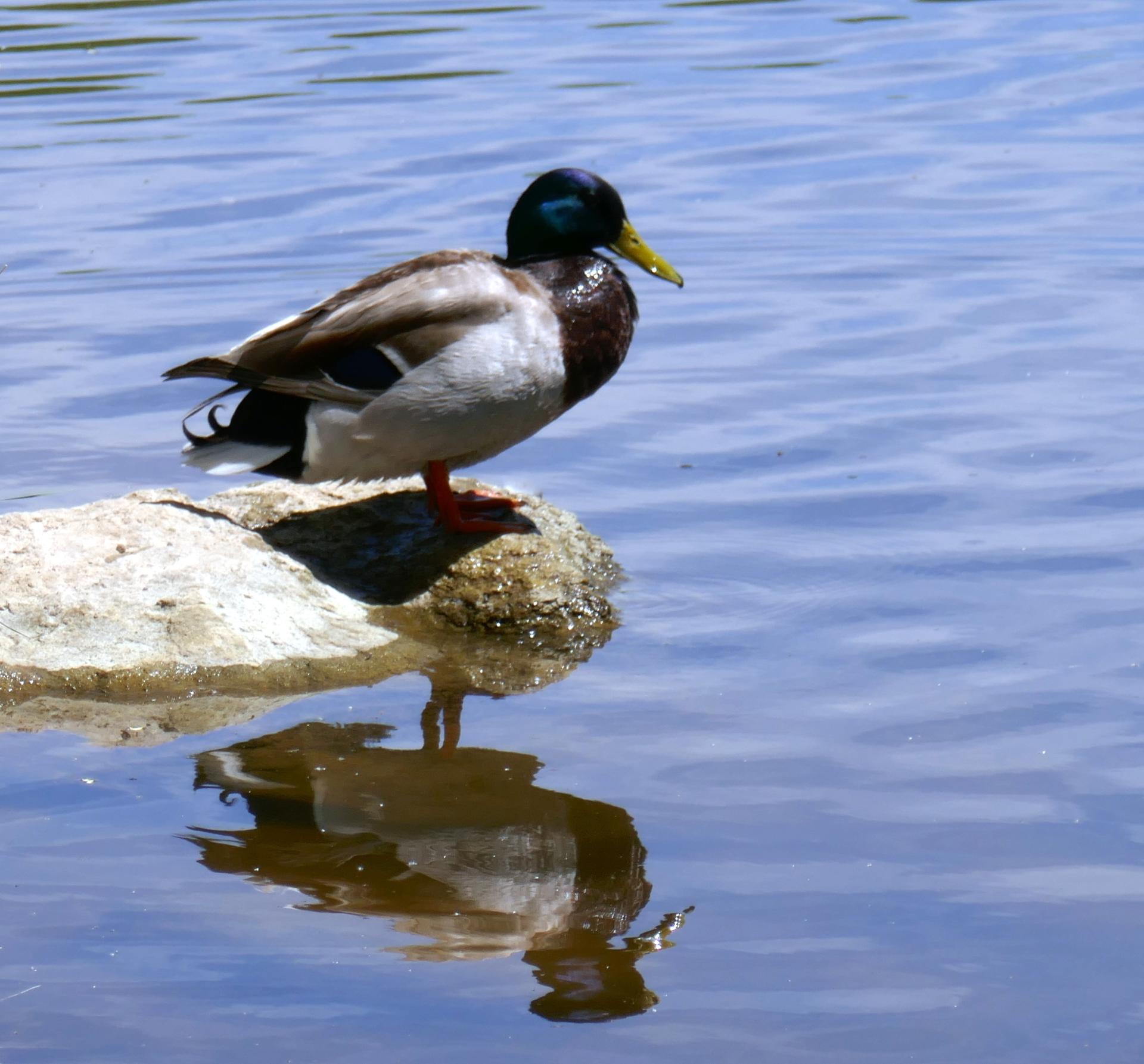 Im20220528P1060069sm