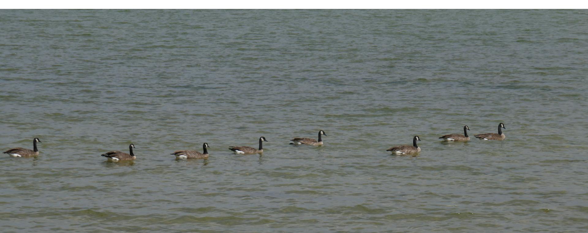 Im20220728P1070012sm