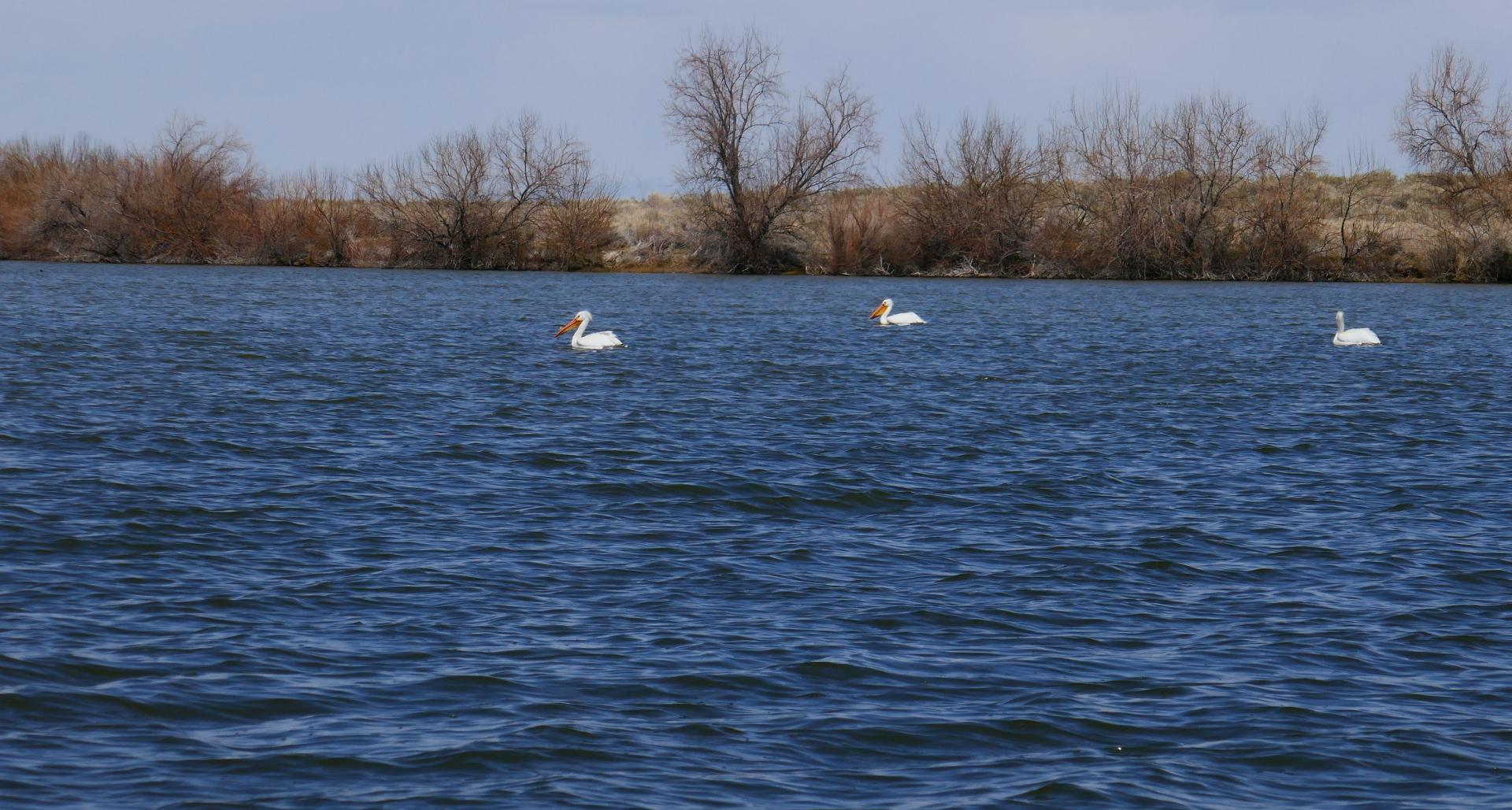 Im20230501P1080846sm