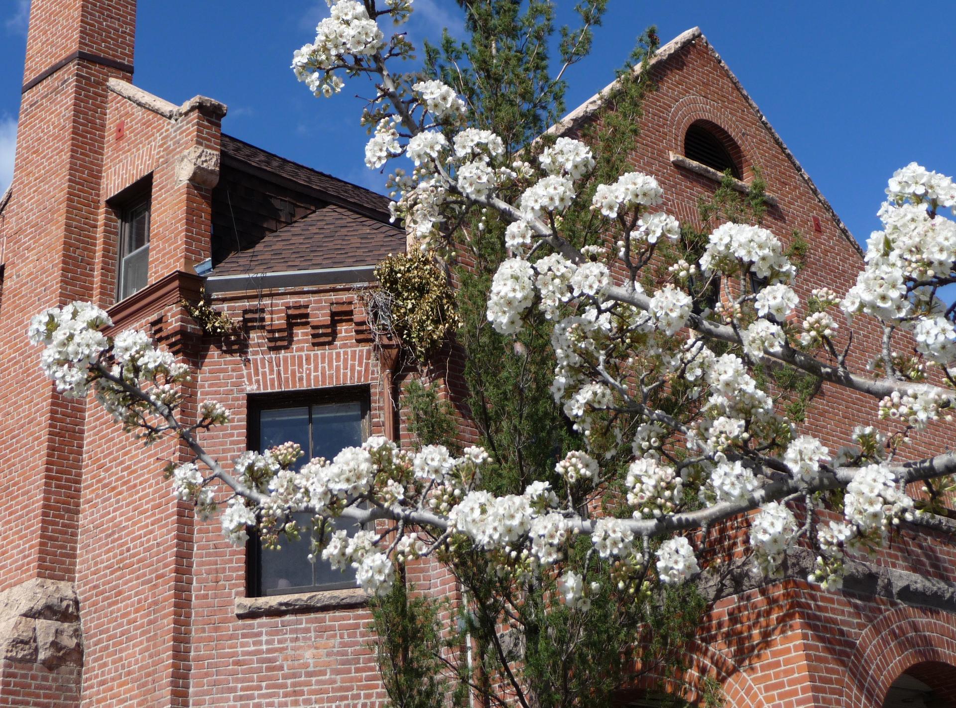 D20090411F1030481_ShiftN