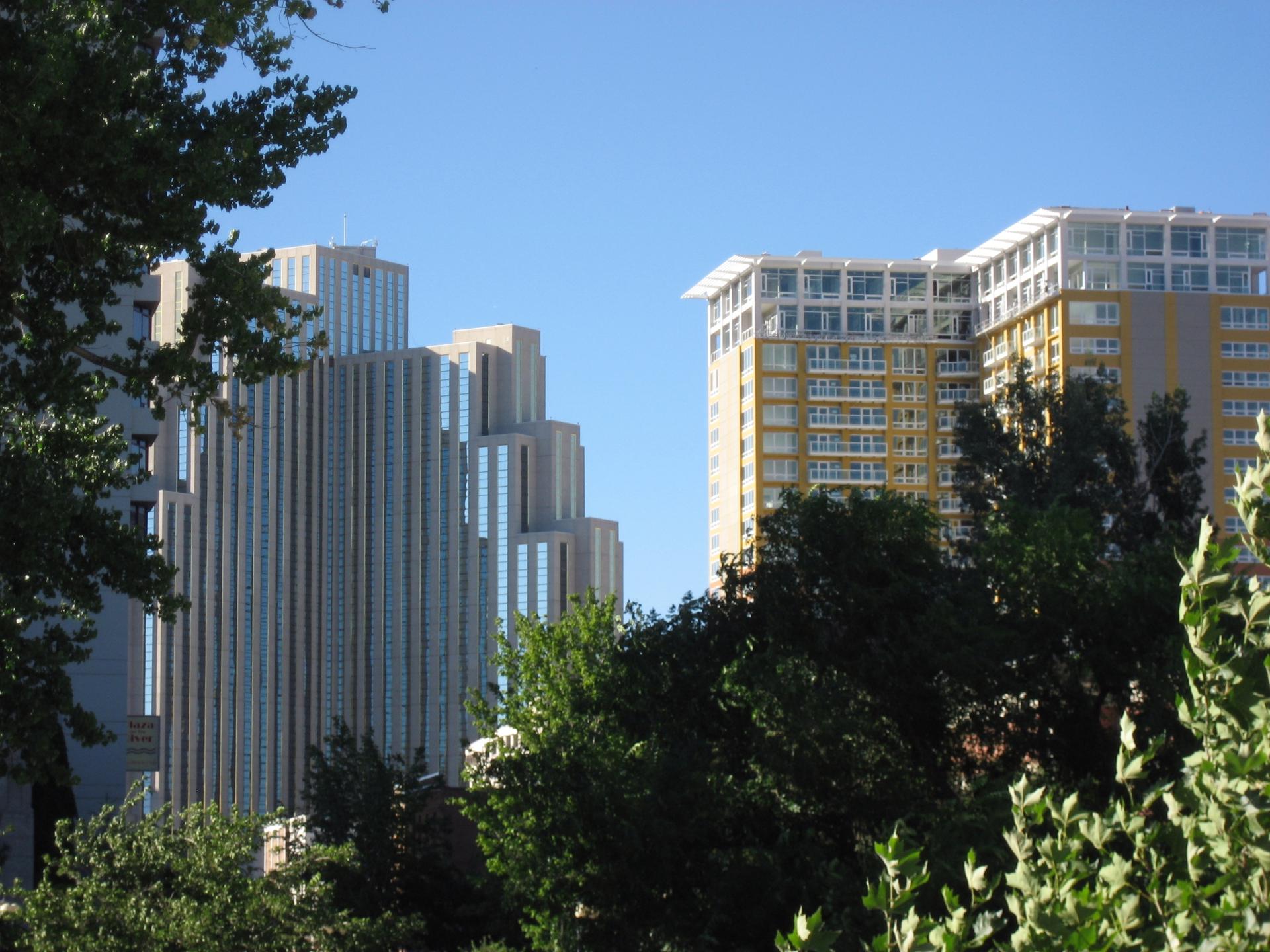 Im20080810cmIMG_2399