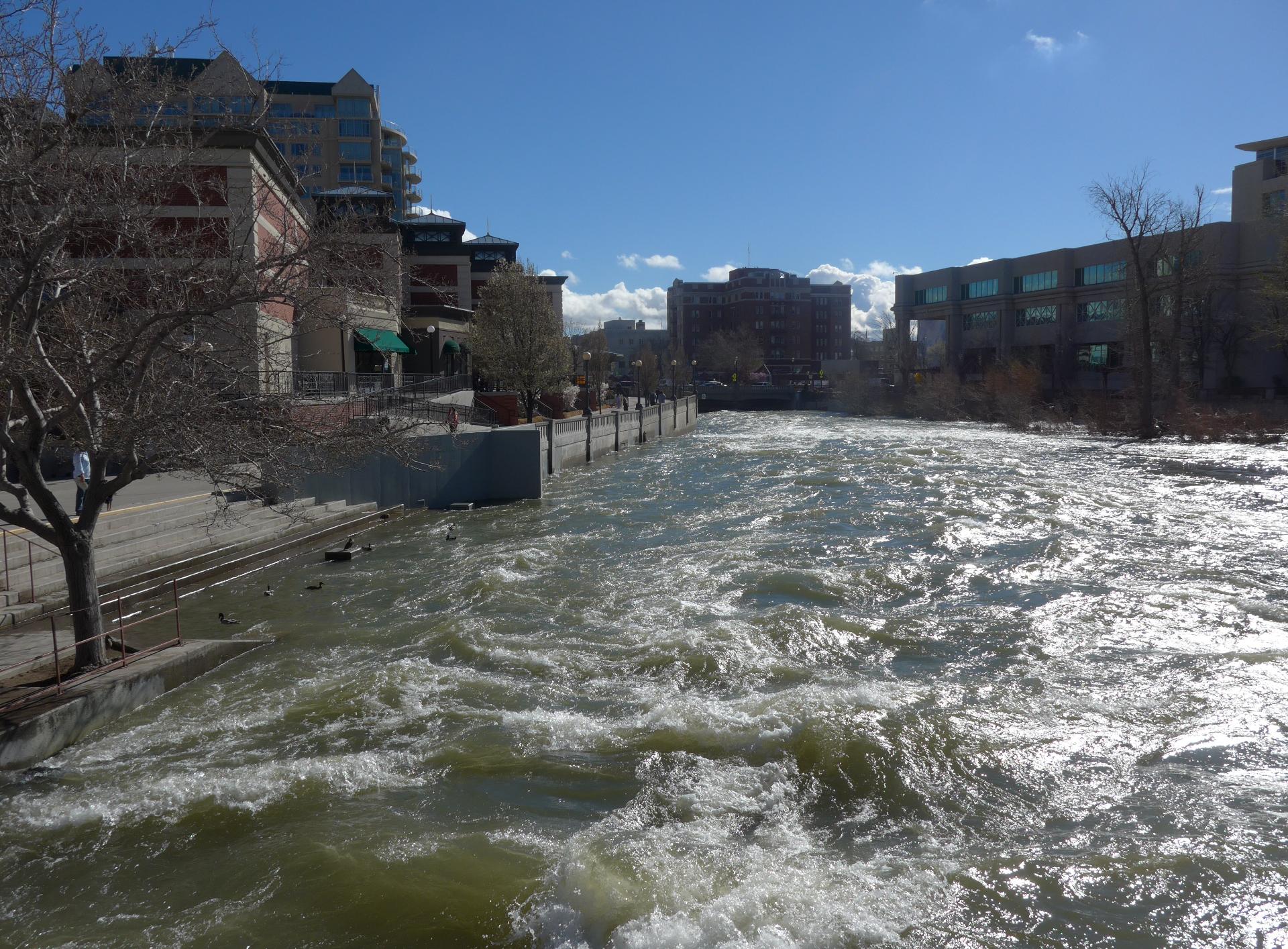 Im20170326pdP1160908