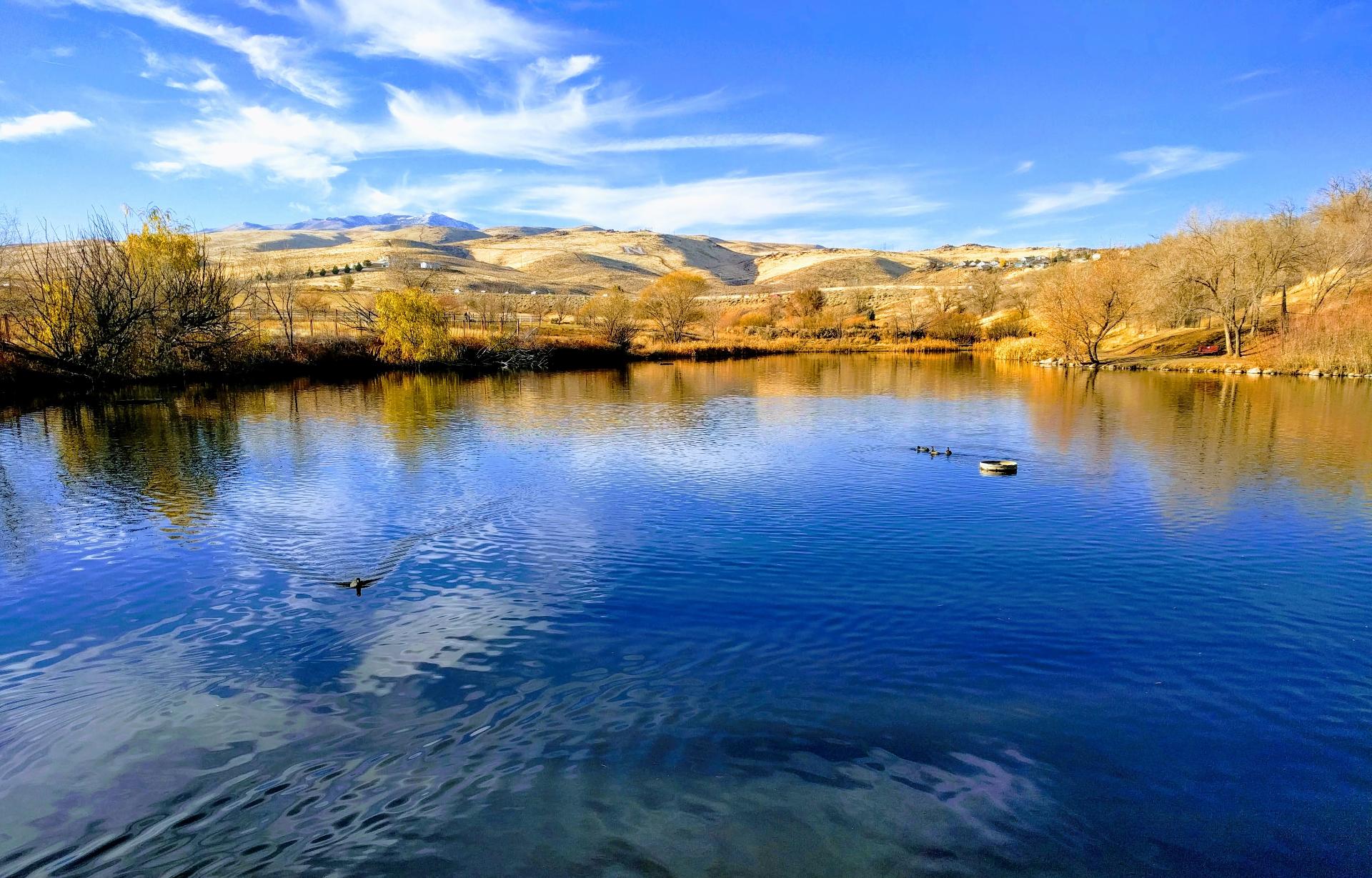 Im201712nx5IMG_20171118_145839-EFFECTS