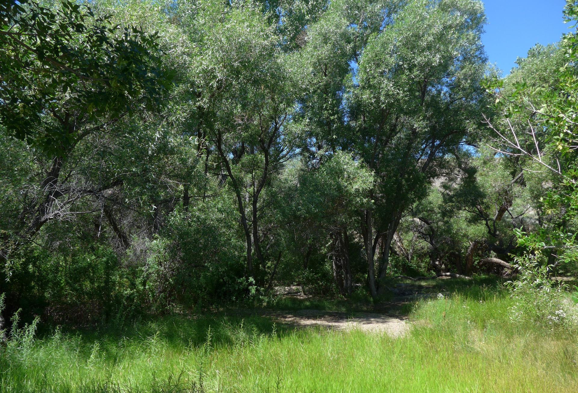 Im20180710pdP1200425