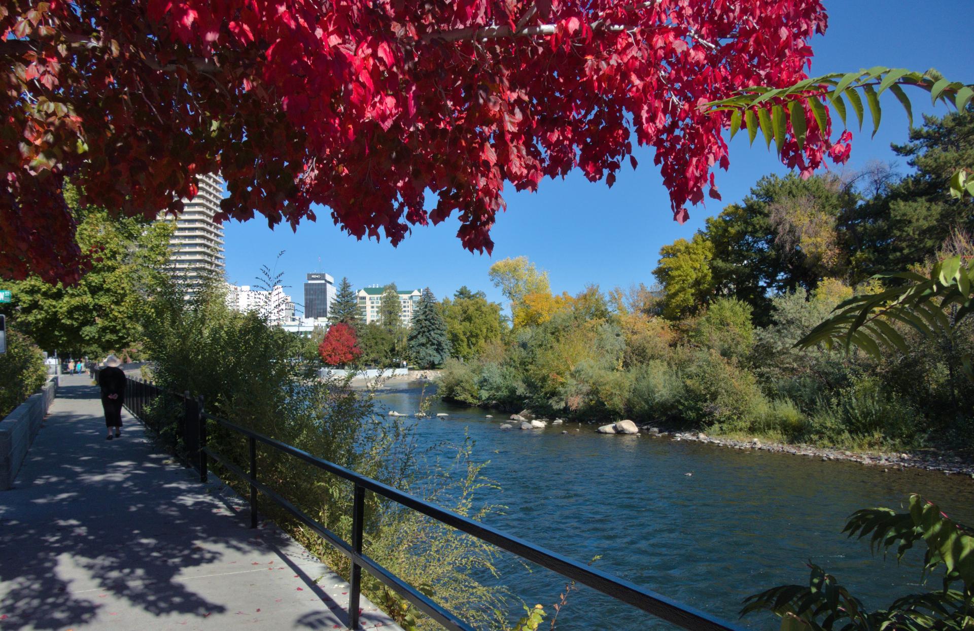 Im20191011rw2pdP1230825rw2