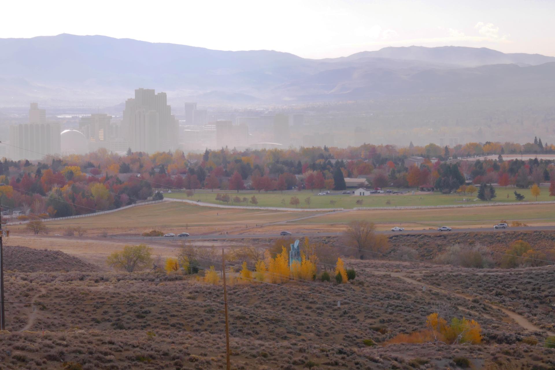 Im20201113OriP1000387