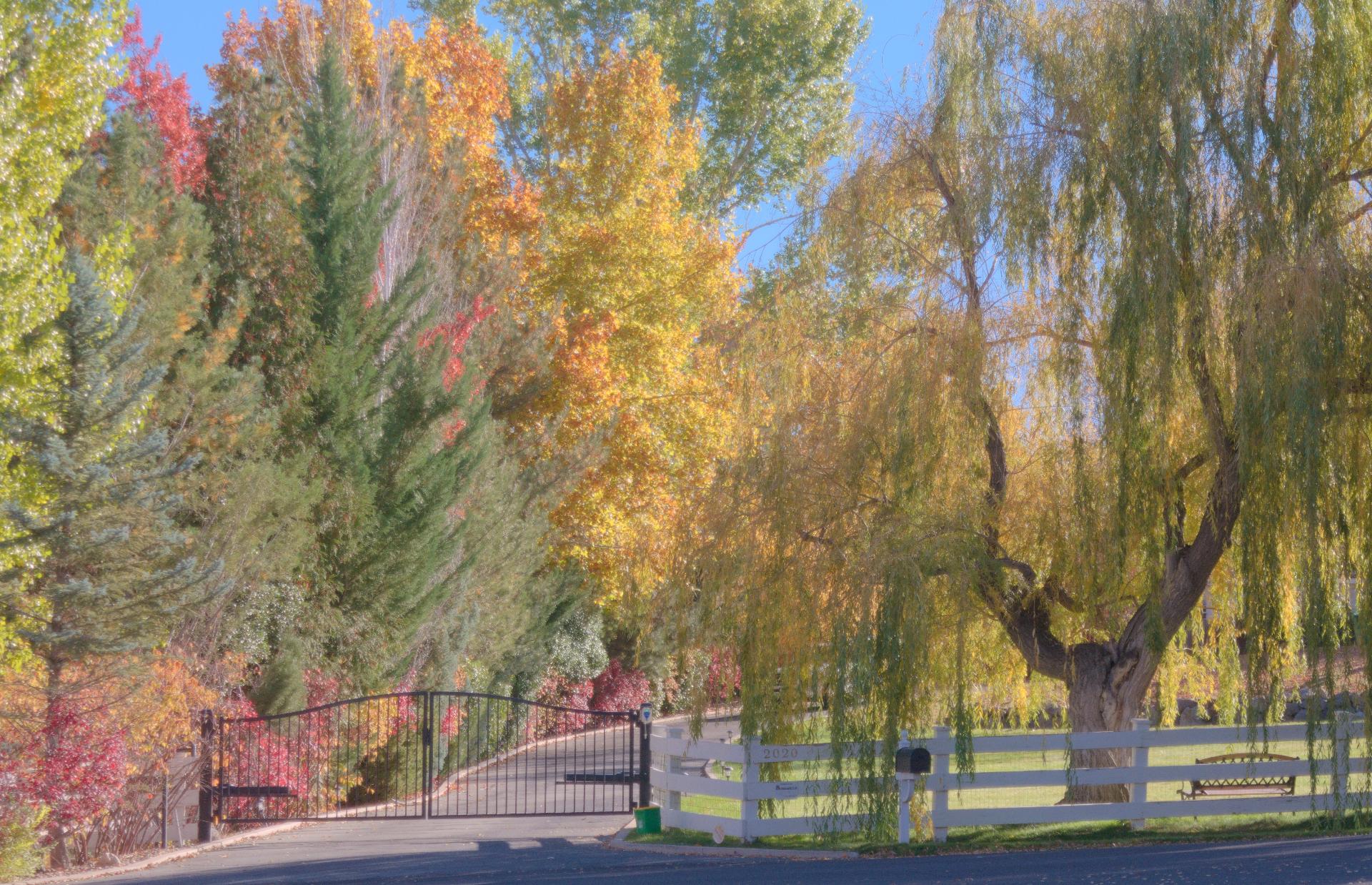 Im20211029rw2P1030966rw2