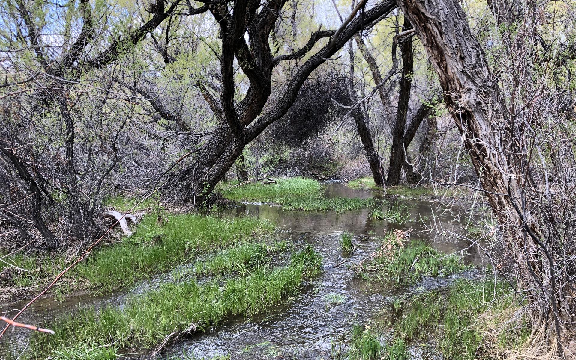 Im20230517PetraIMG_8369