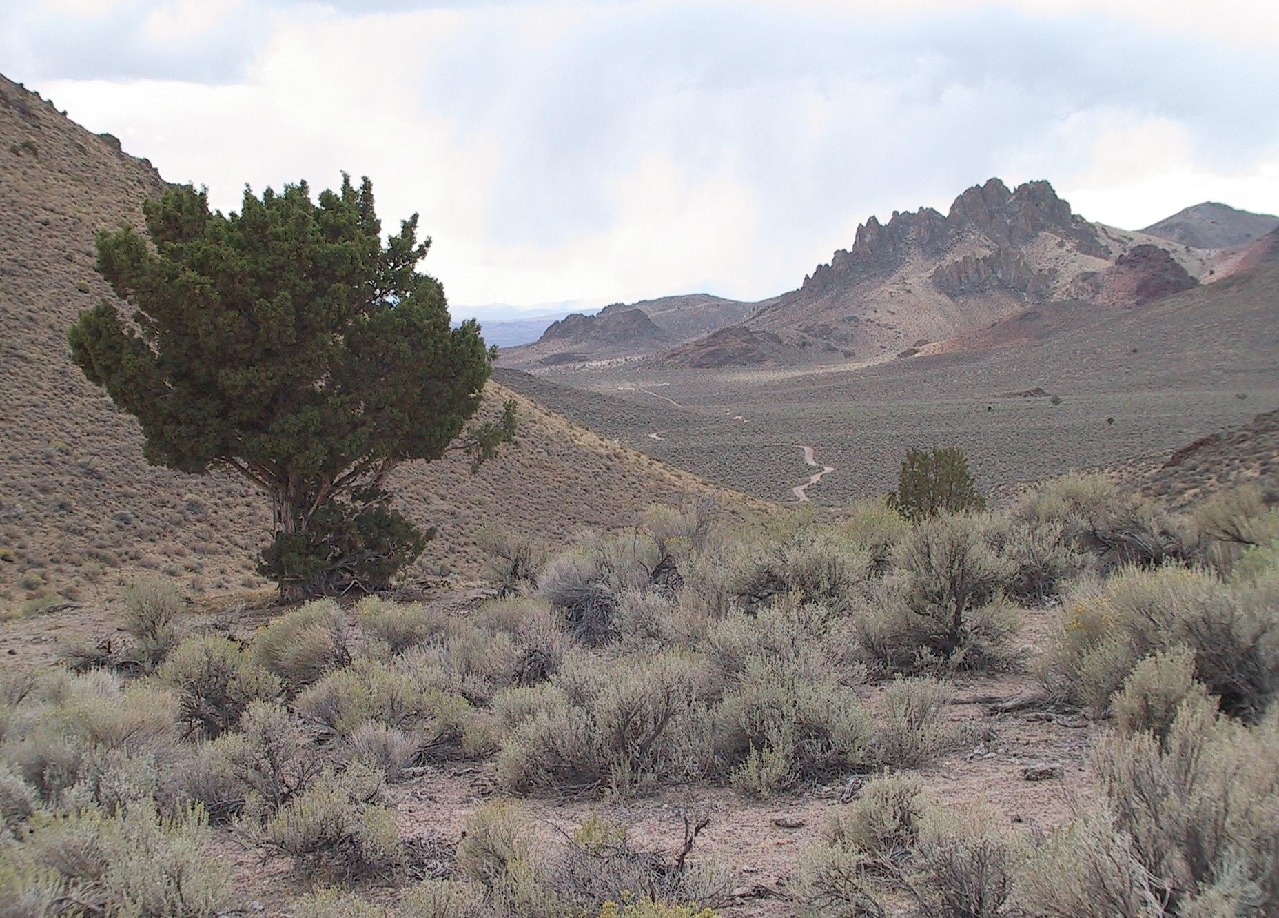 Im20040919IMG_5565_RJ