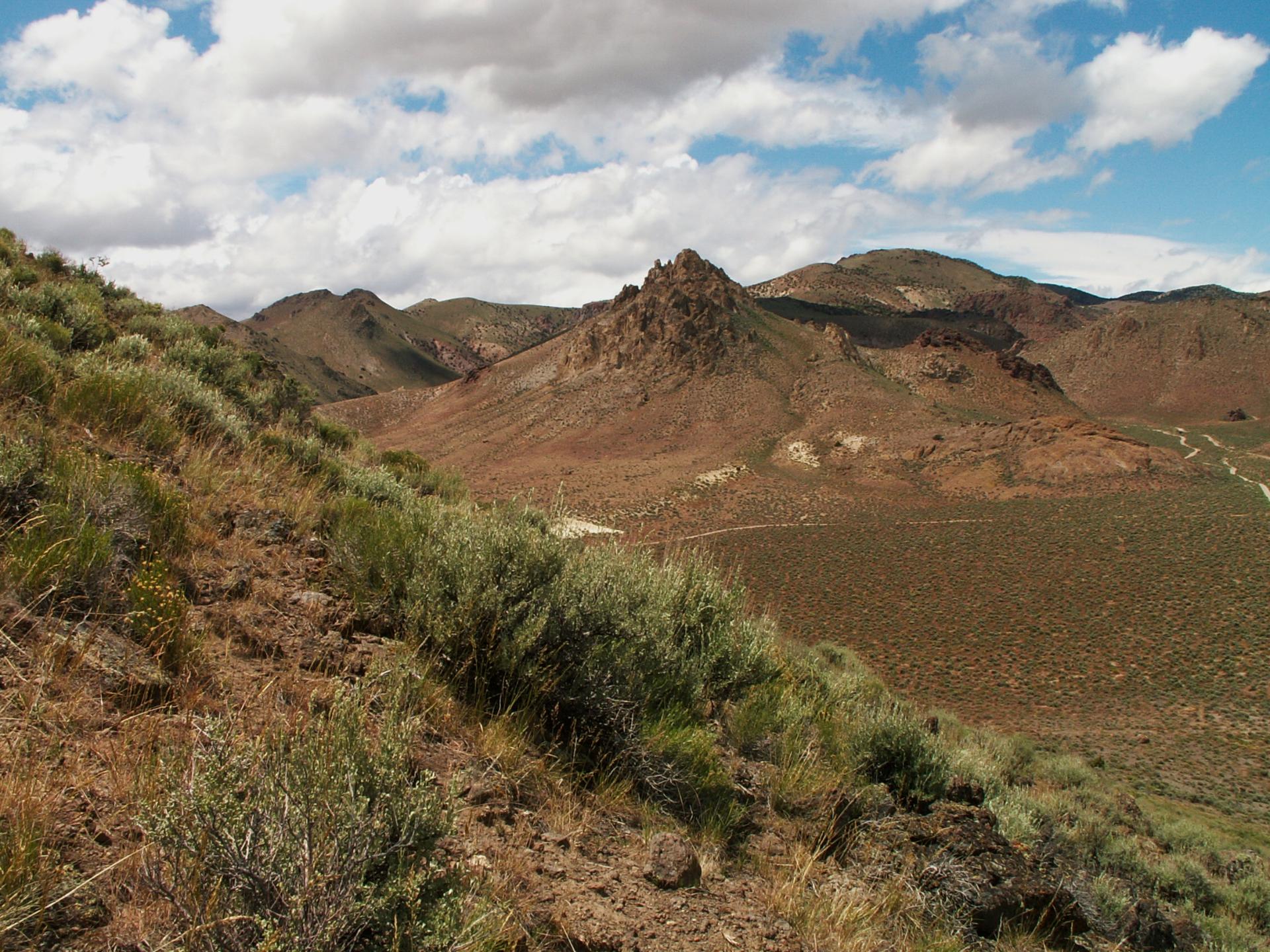 Im20060522mPICT3901b