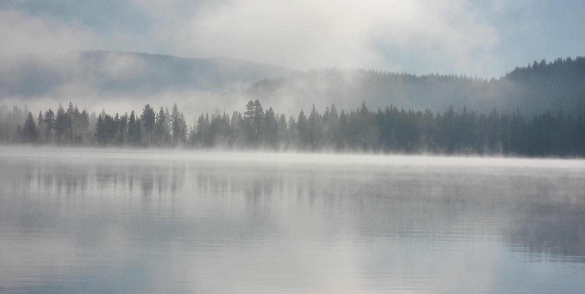 Im20071104cmIMG_7070