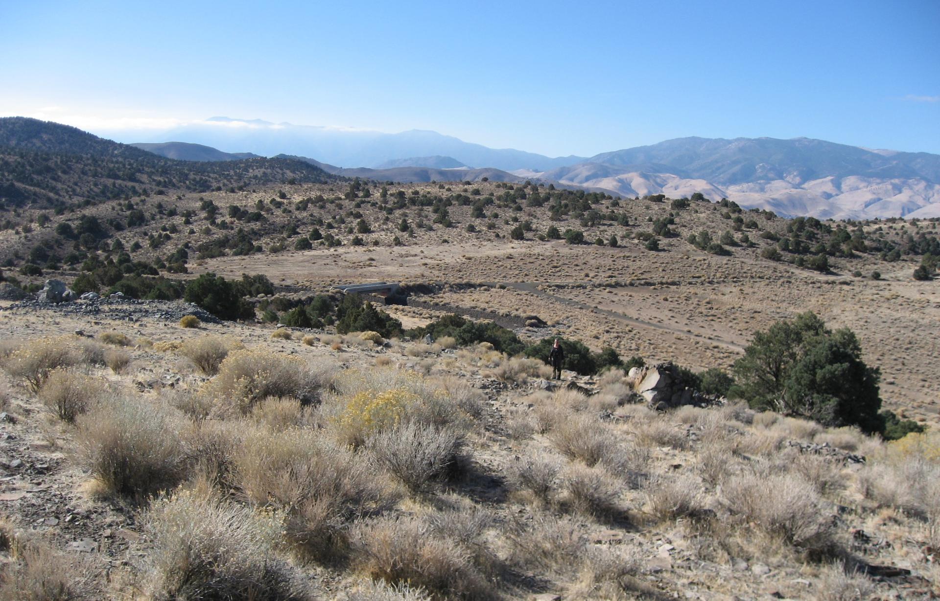 Im20071121cmIMG_7284