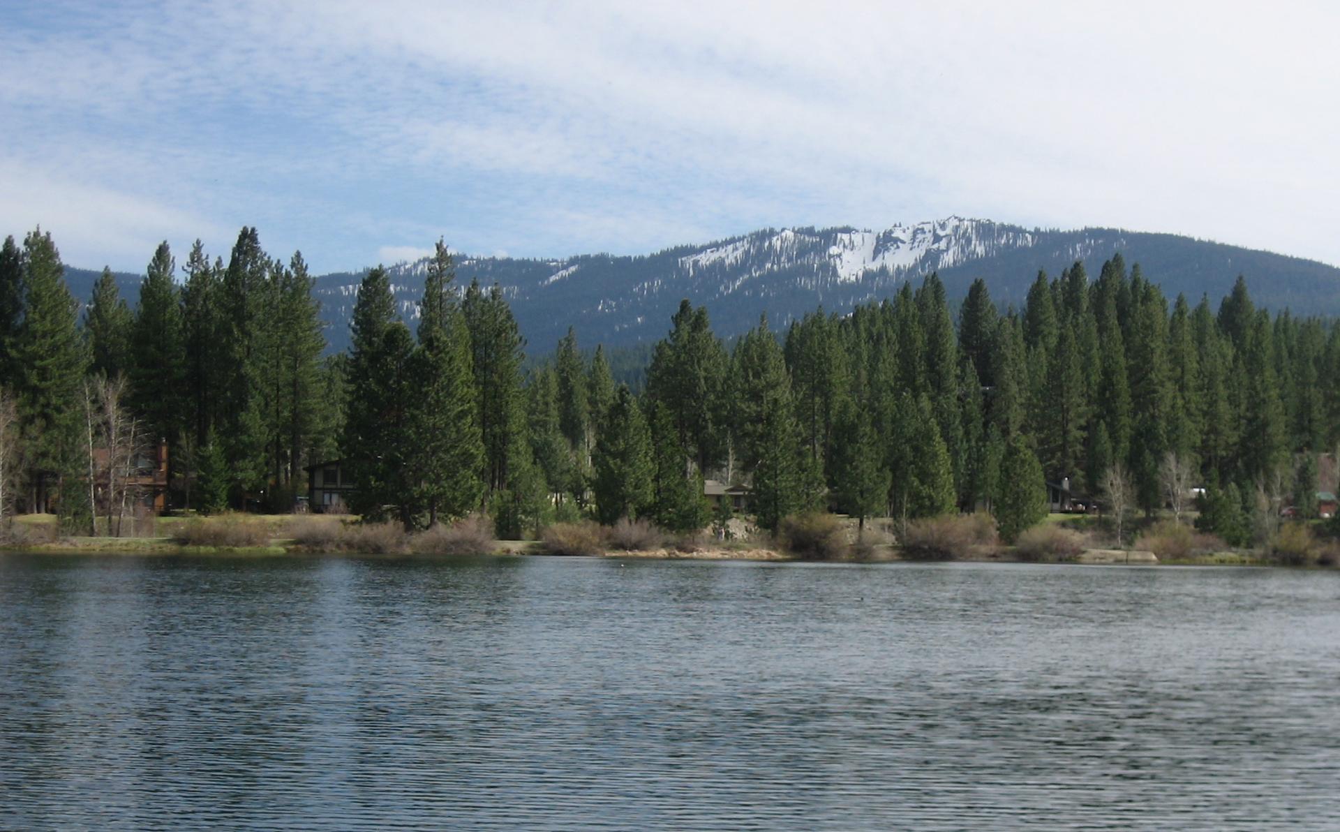 Im20080427cdIMG_0515