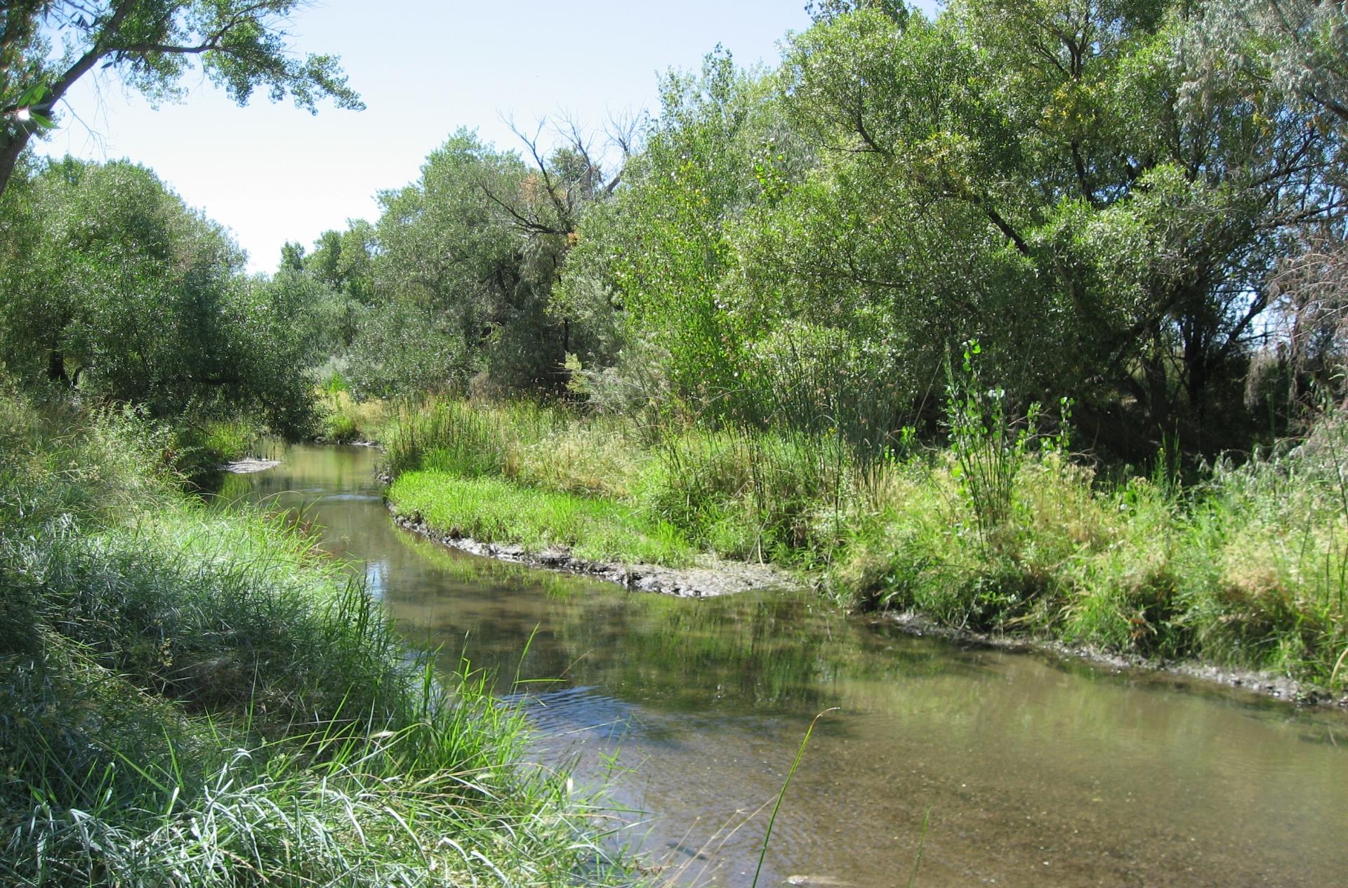 Im20080901cdIMG_2668