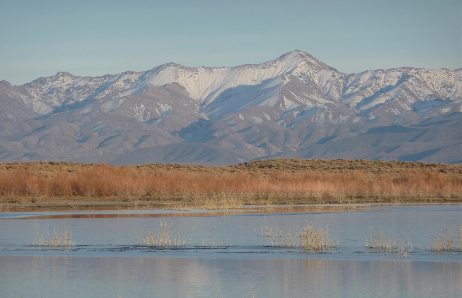 Im20090111cjpP1010982