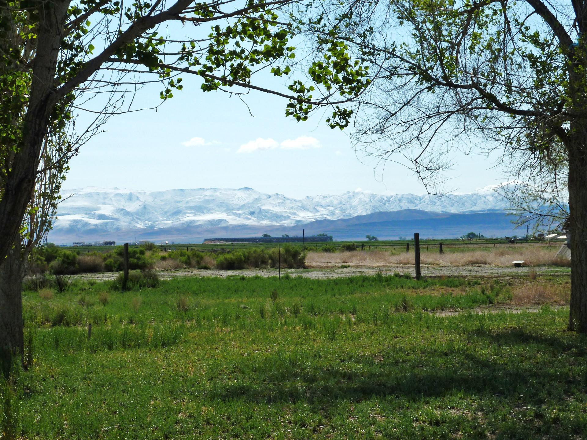 Im20110530pP10103122