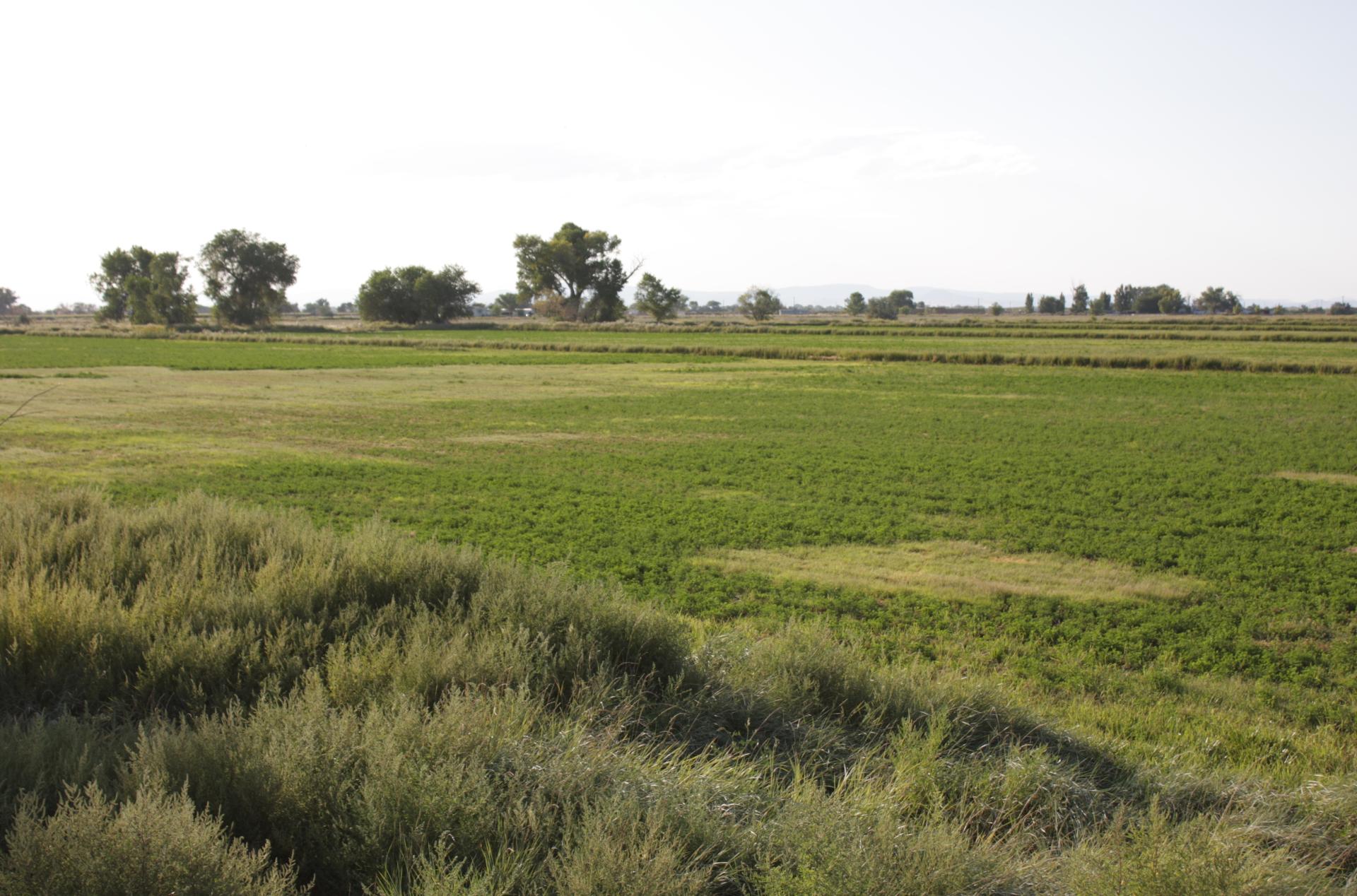 Im20110821crpIMG4130