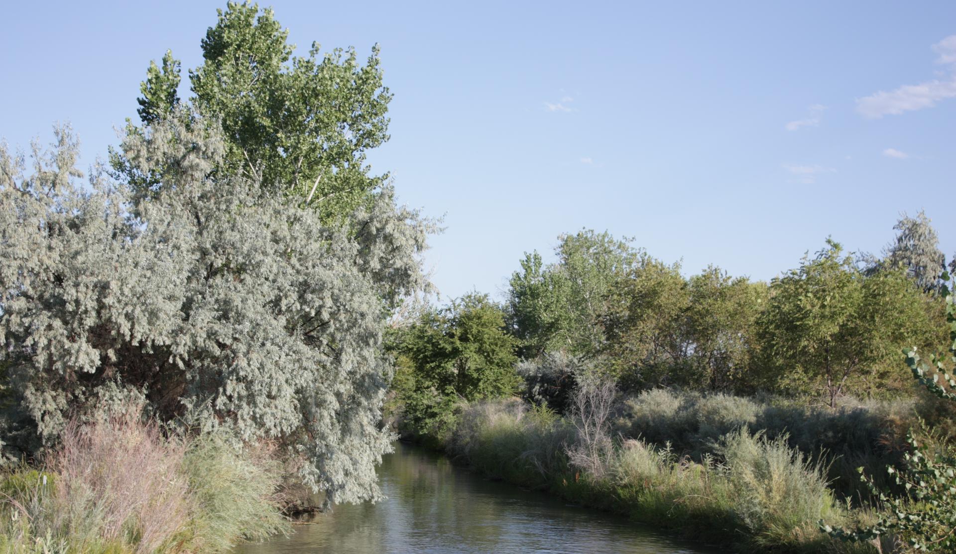 Im20110821crpIMG_4125