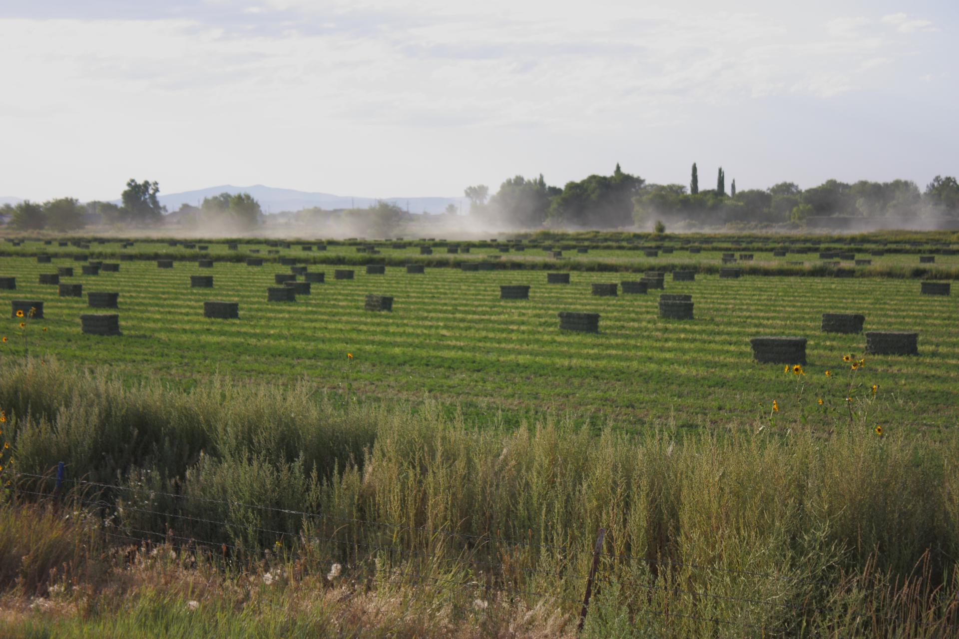 Im20110821crpIMG_4152b