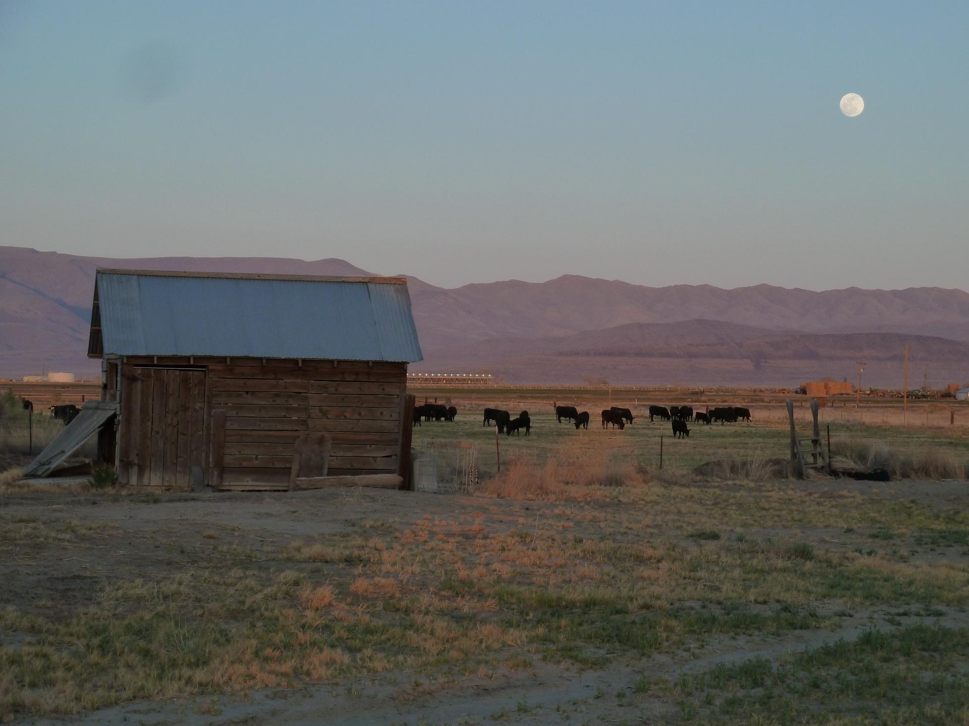 Im20130426cjpP1130429