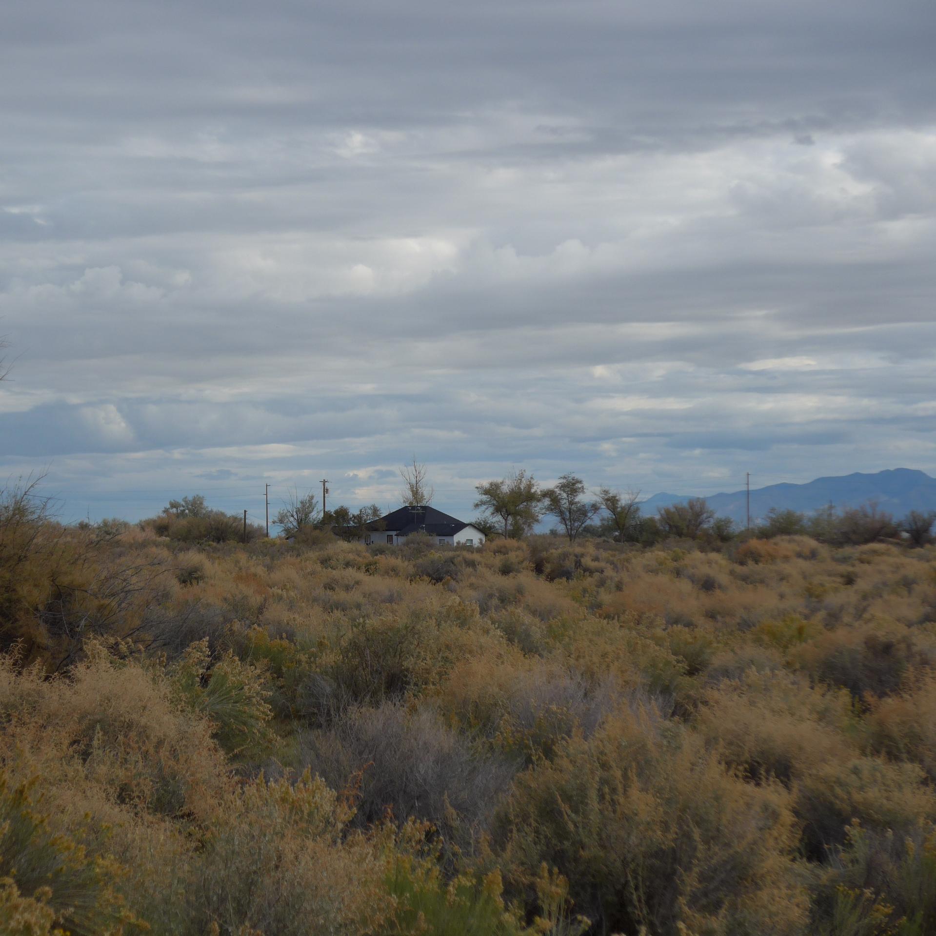 Im20151017pjdP1110770