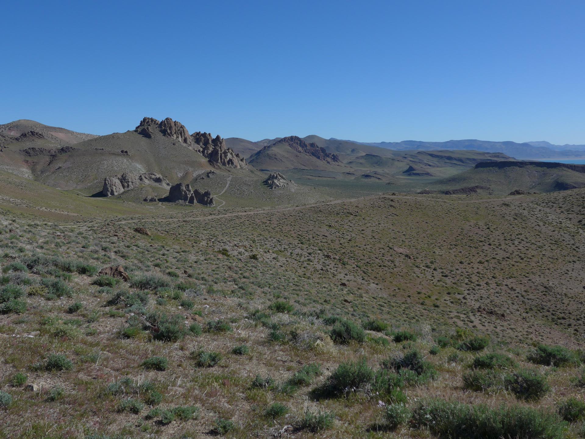 Im20160406pdP1130263