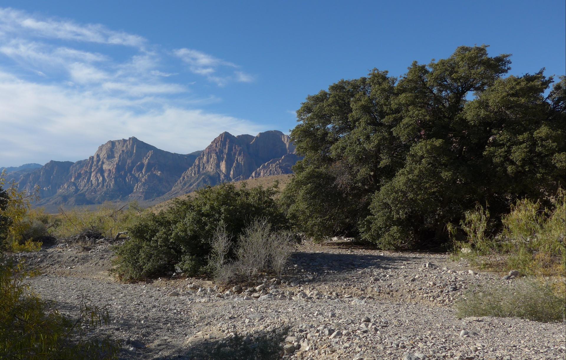 Im20171109pdjP1180646