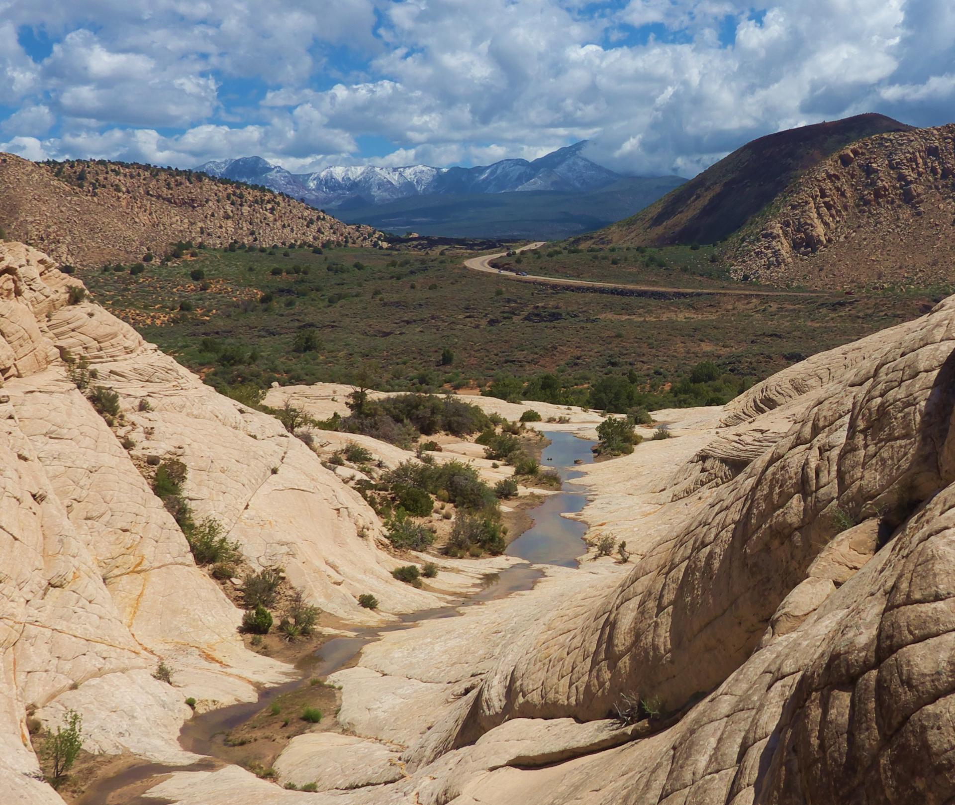 Im20180504rw2P1190842rw2