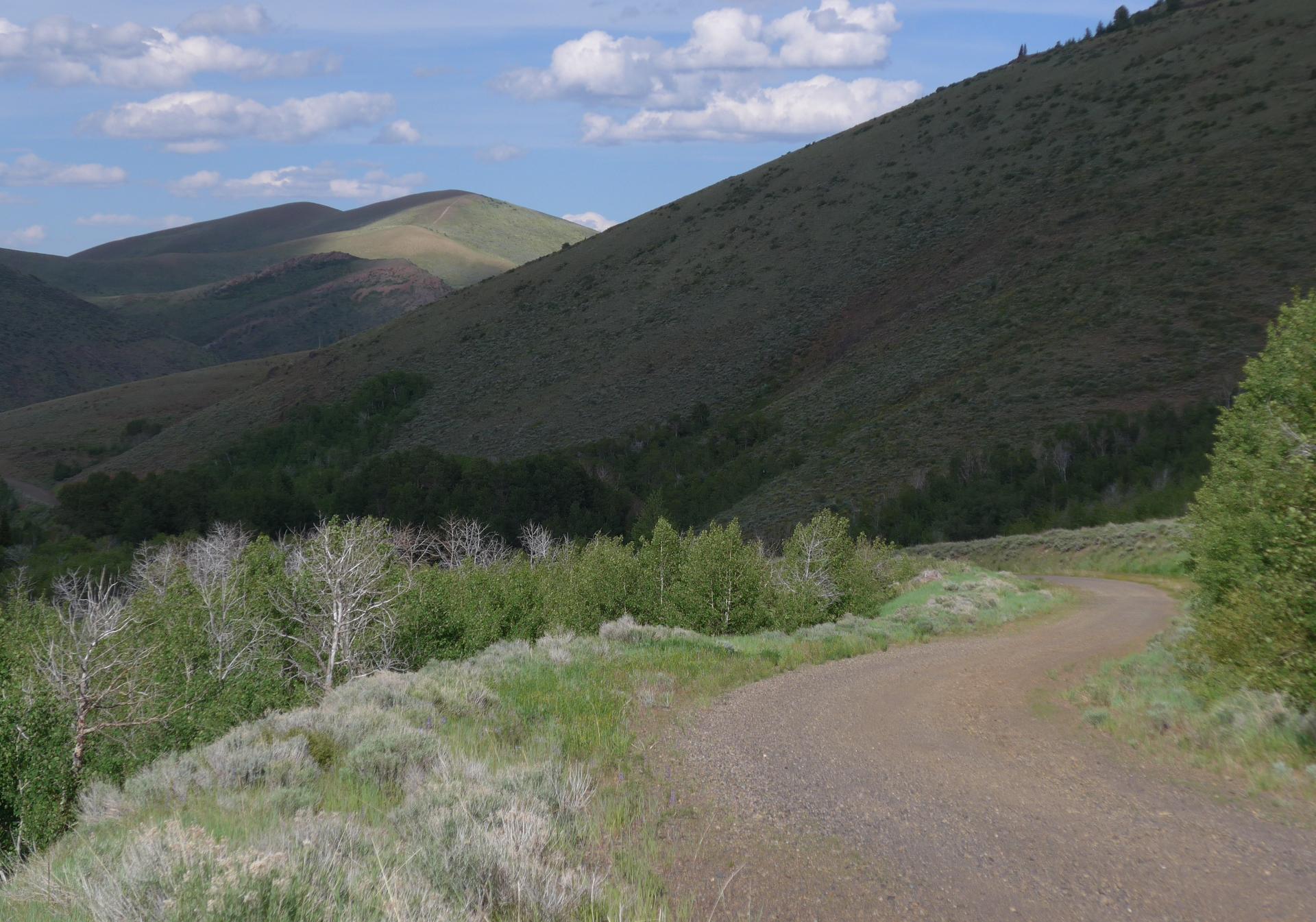 Im20180623pdP1200237