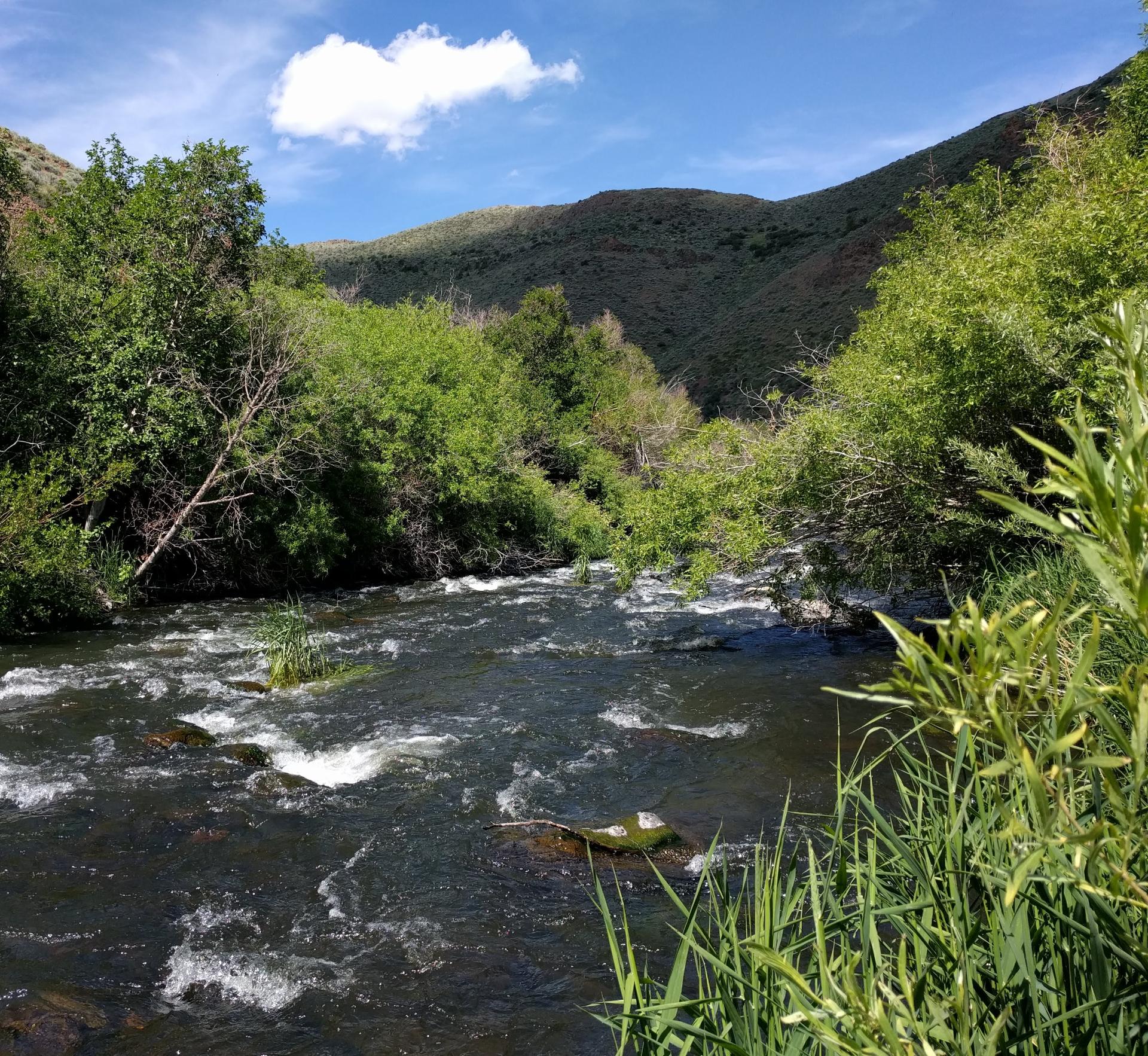 Im201806nx5IMG_20180622_150842