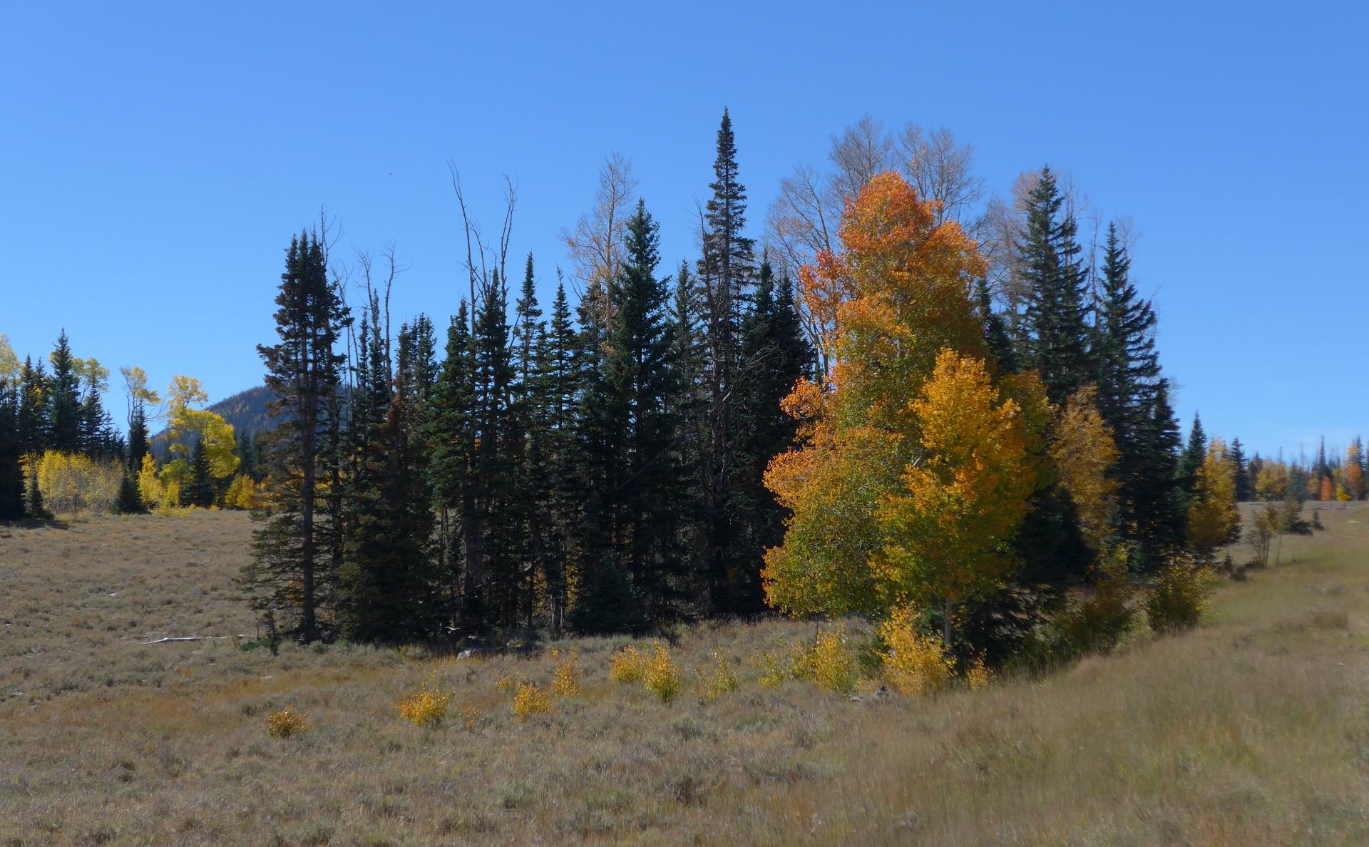 Im20180927pdP1210227