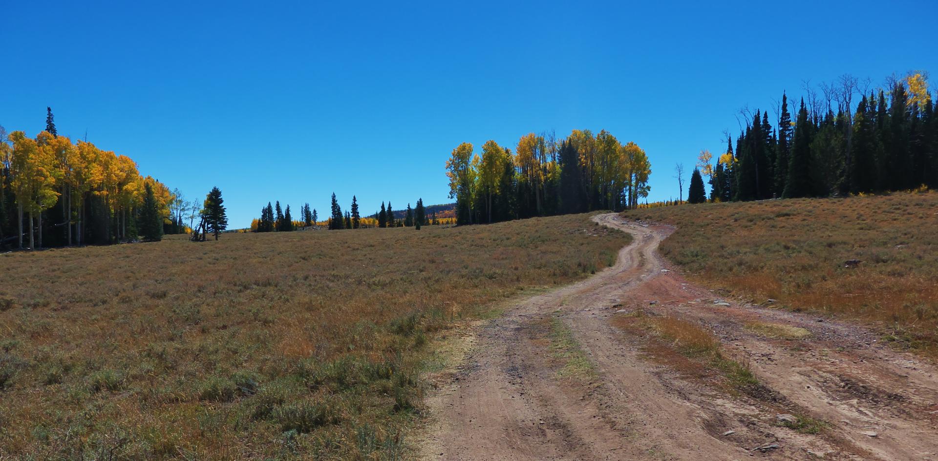 Im20180927rw2P1210246rw2