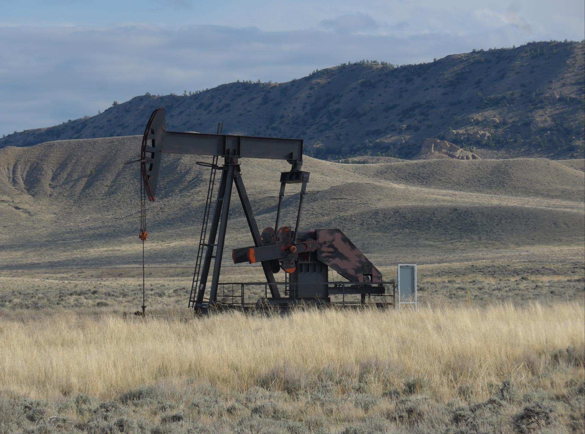 Im20190510pdP1220358