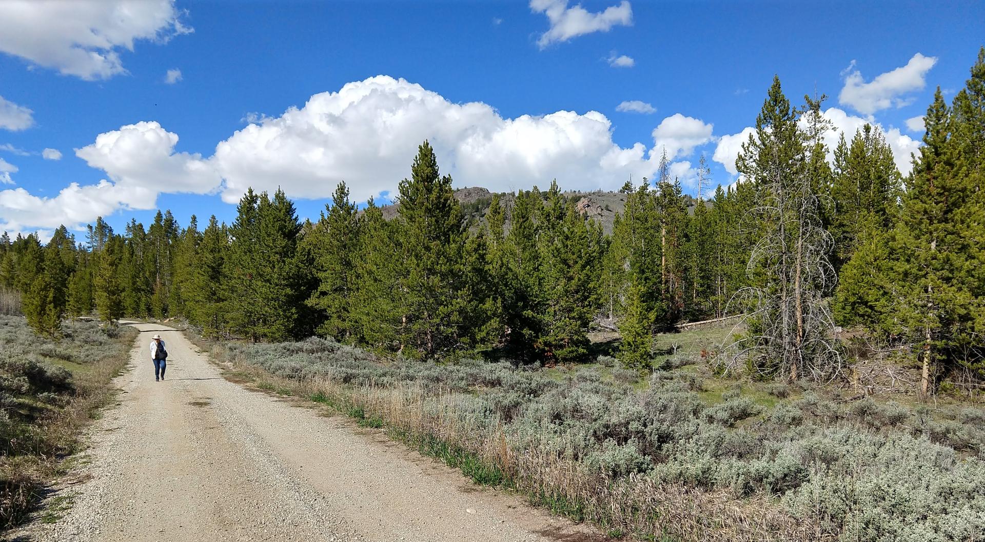 Im201906mxbIMG20190605173207045HDRb