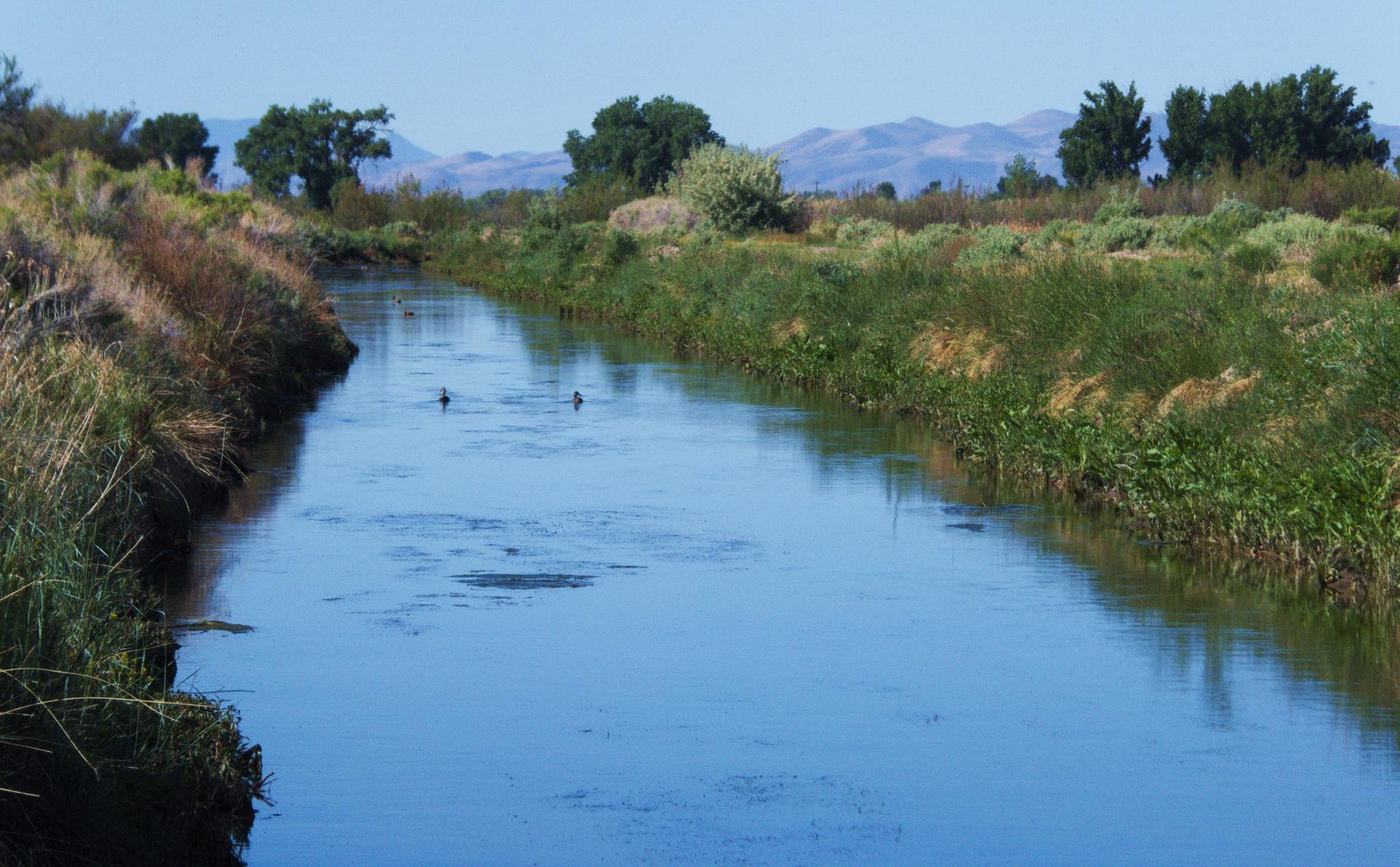 Im20200524pdjP1030998rw2