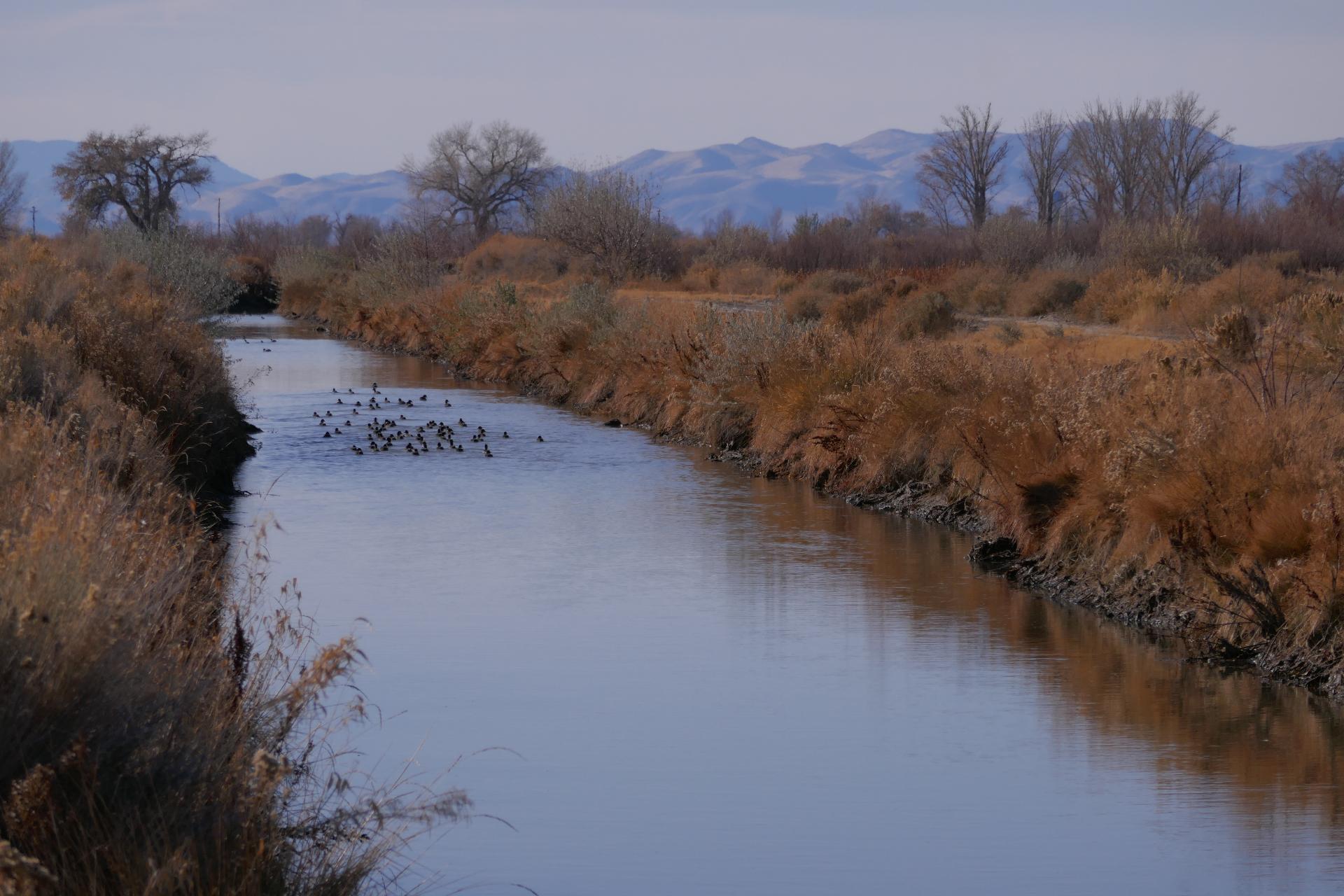 Im20201122OriP1000490