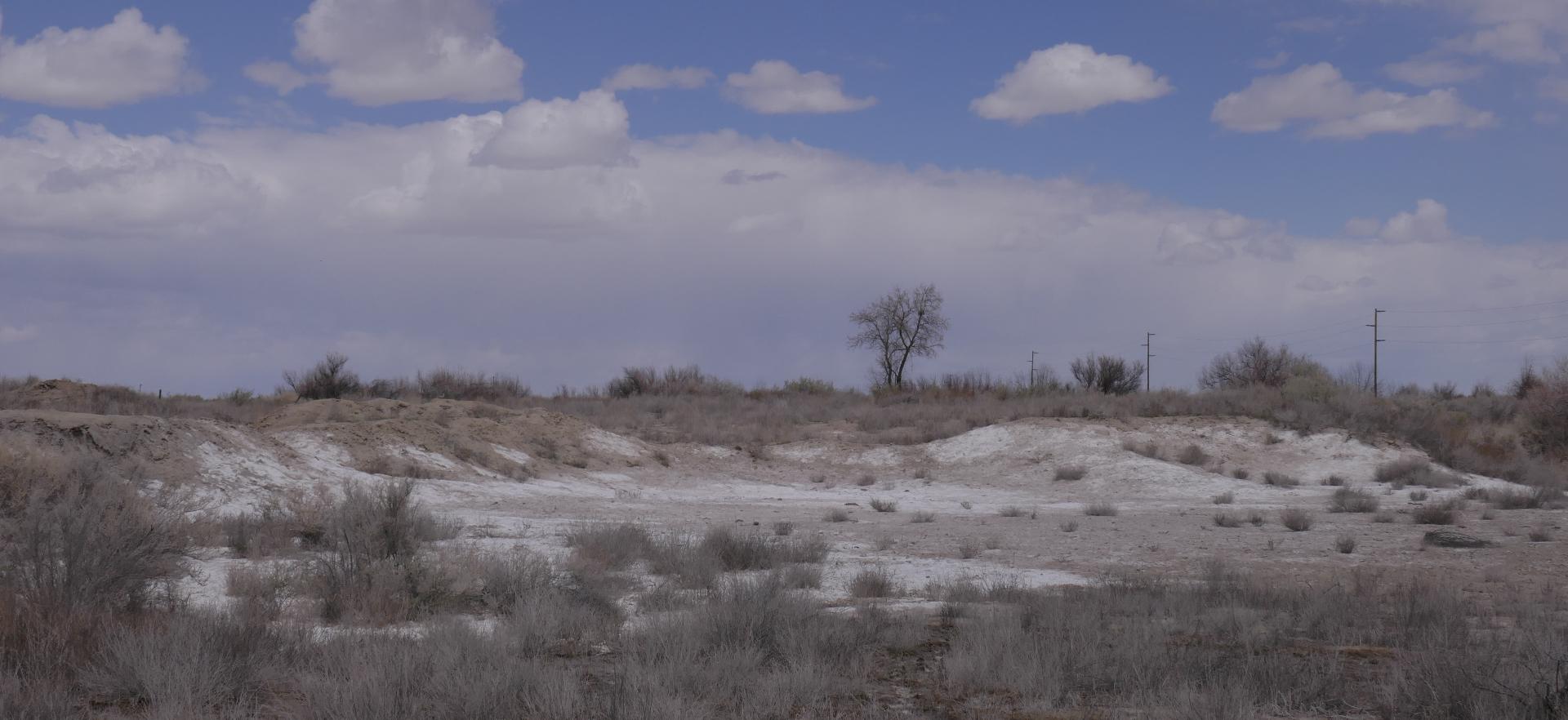 Im20210421oriP1010636