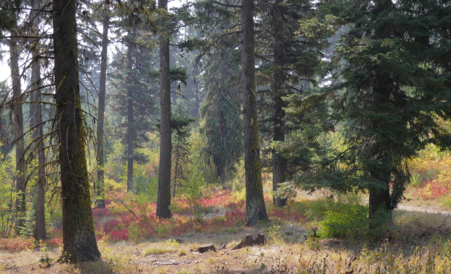 Im20210909oriP1020879