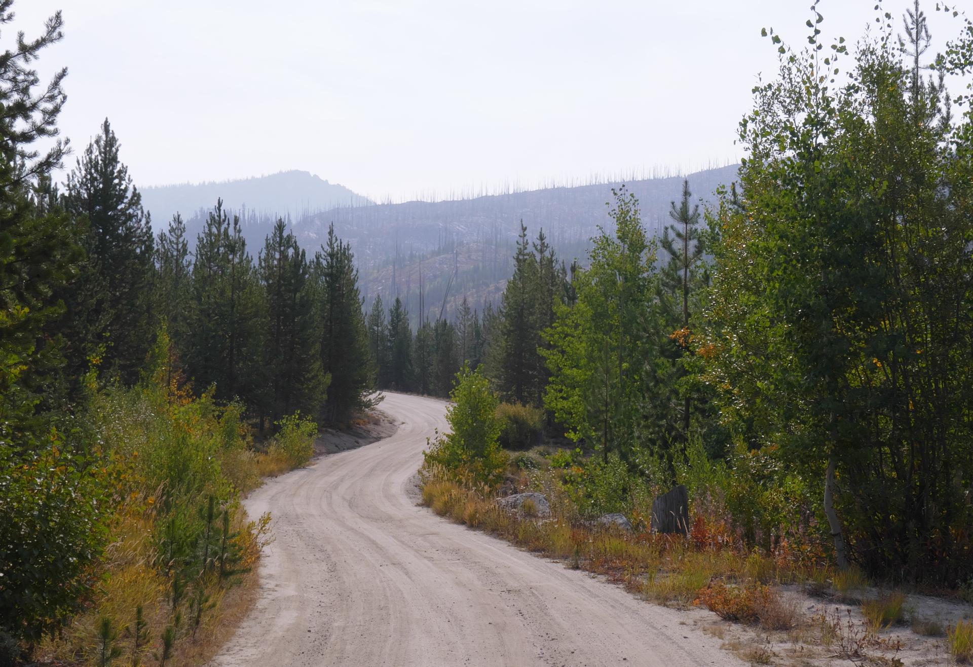 Im20210917rw2P1020769rw2