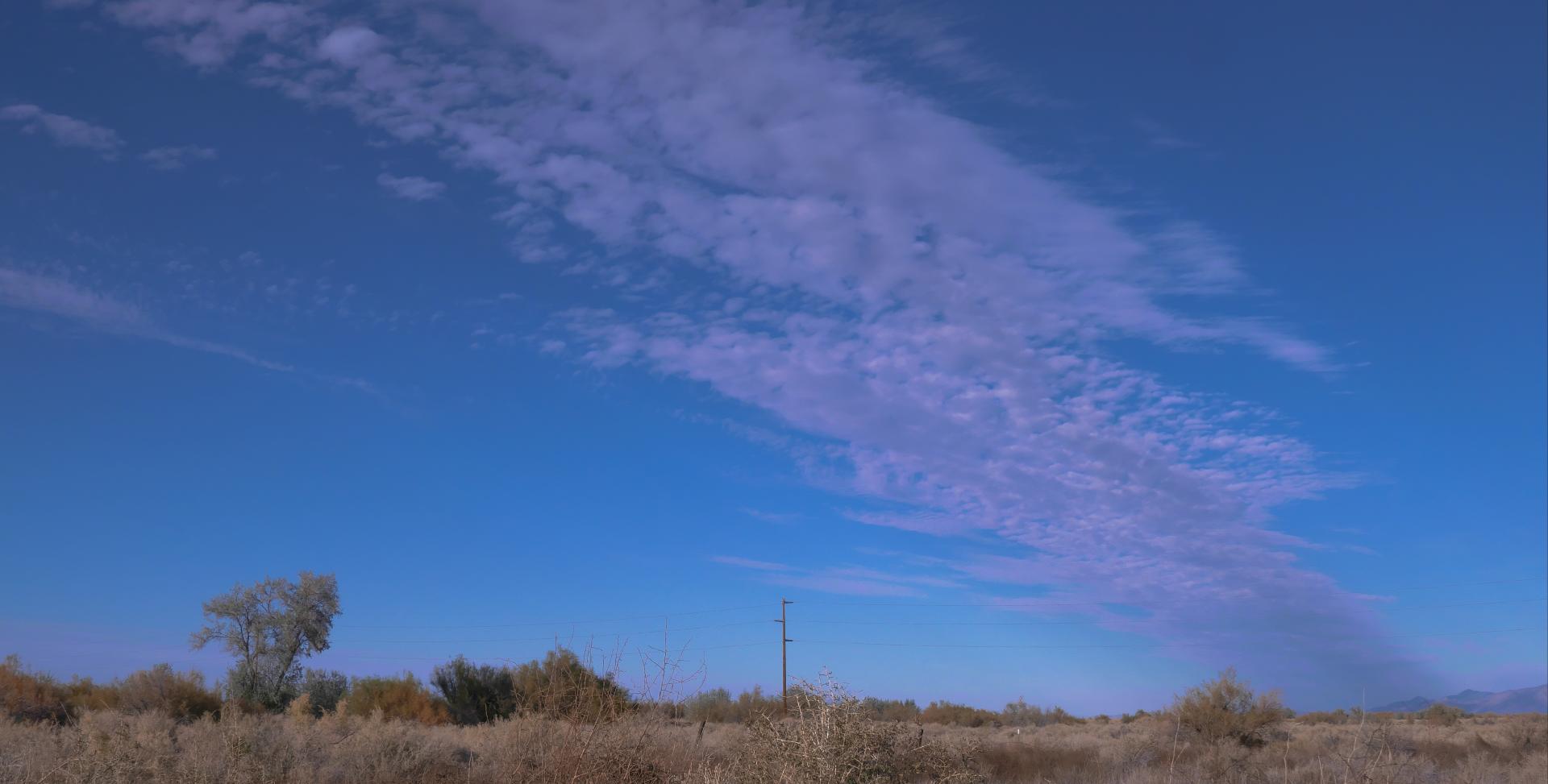 Im20211014rw2P1030801rw2