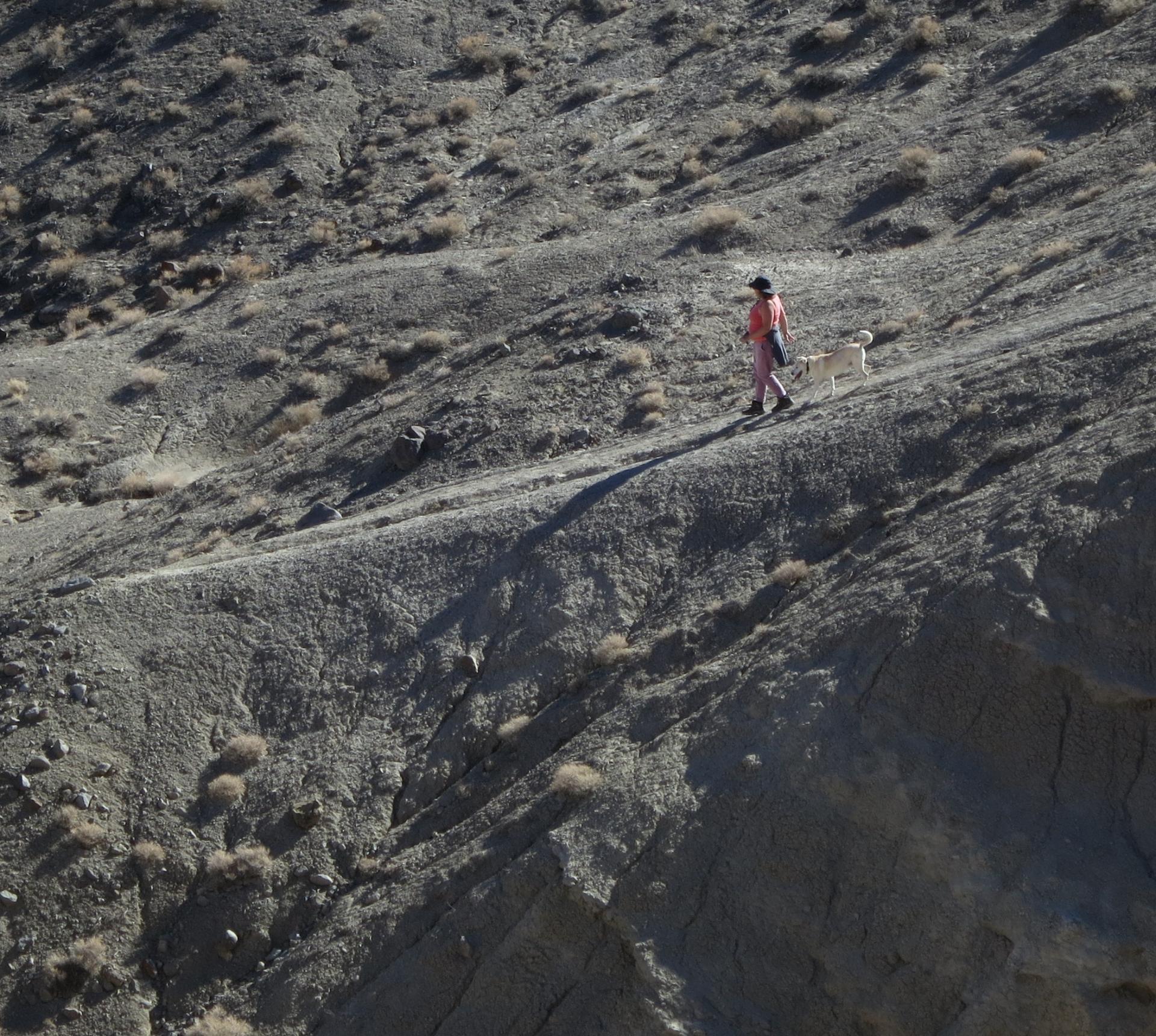 Im20211112oriIMG4598