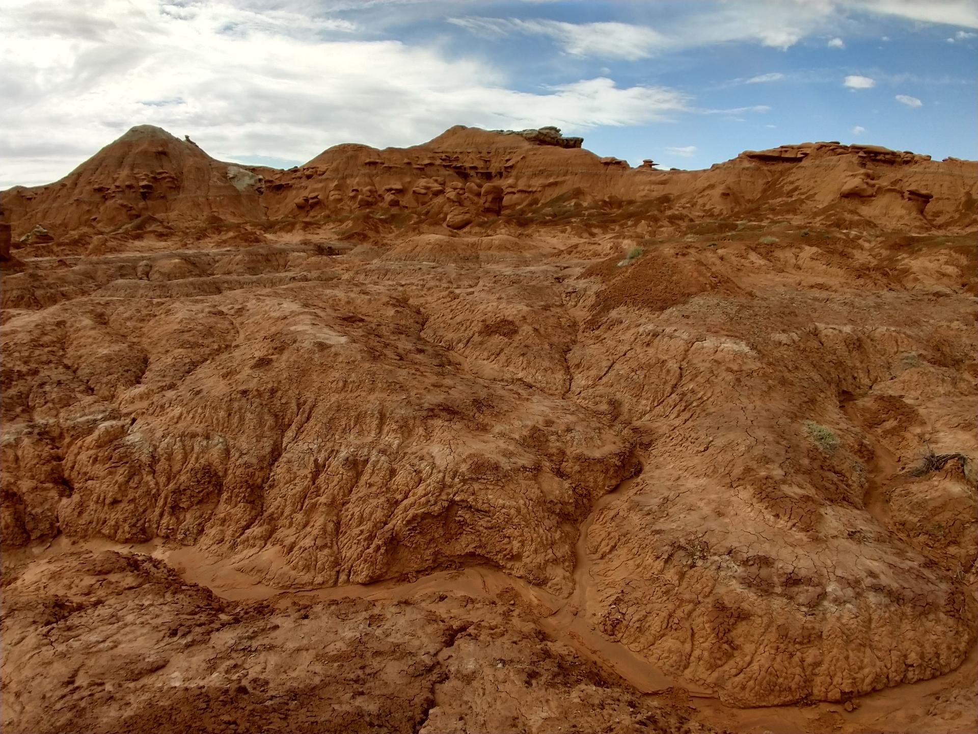 D20230514F101224032sm