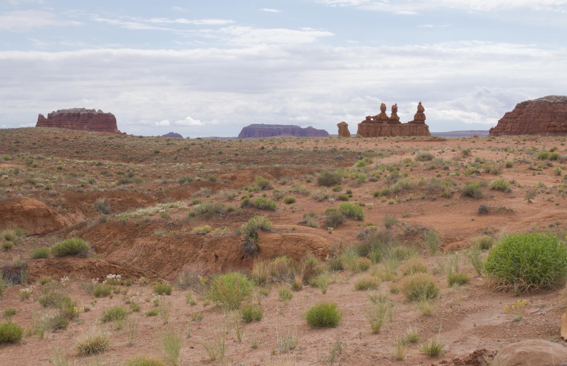 D20230514F1090281rwsm