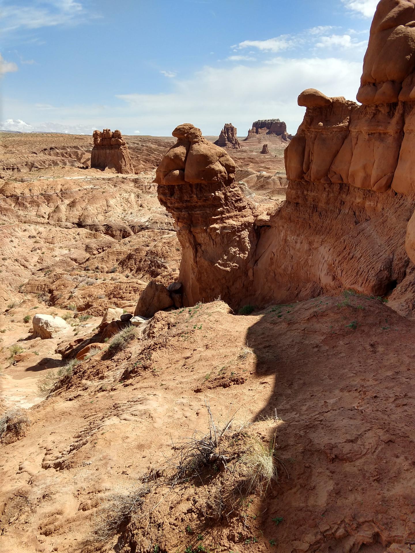 D20230514F110148830sm