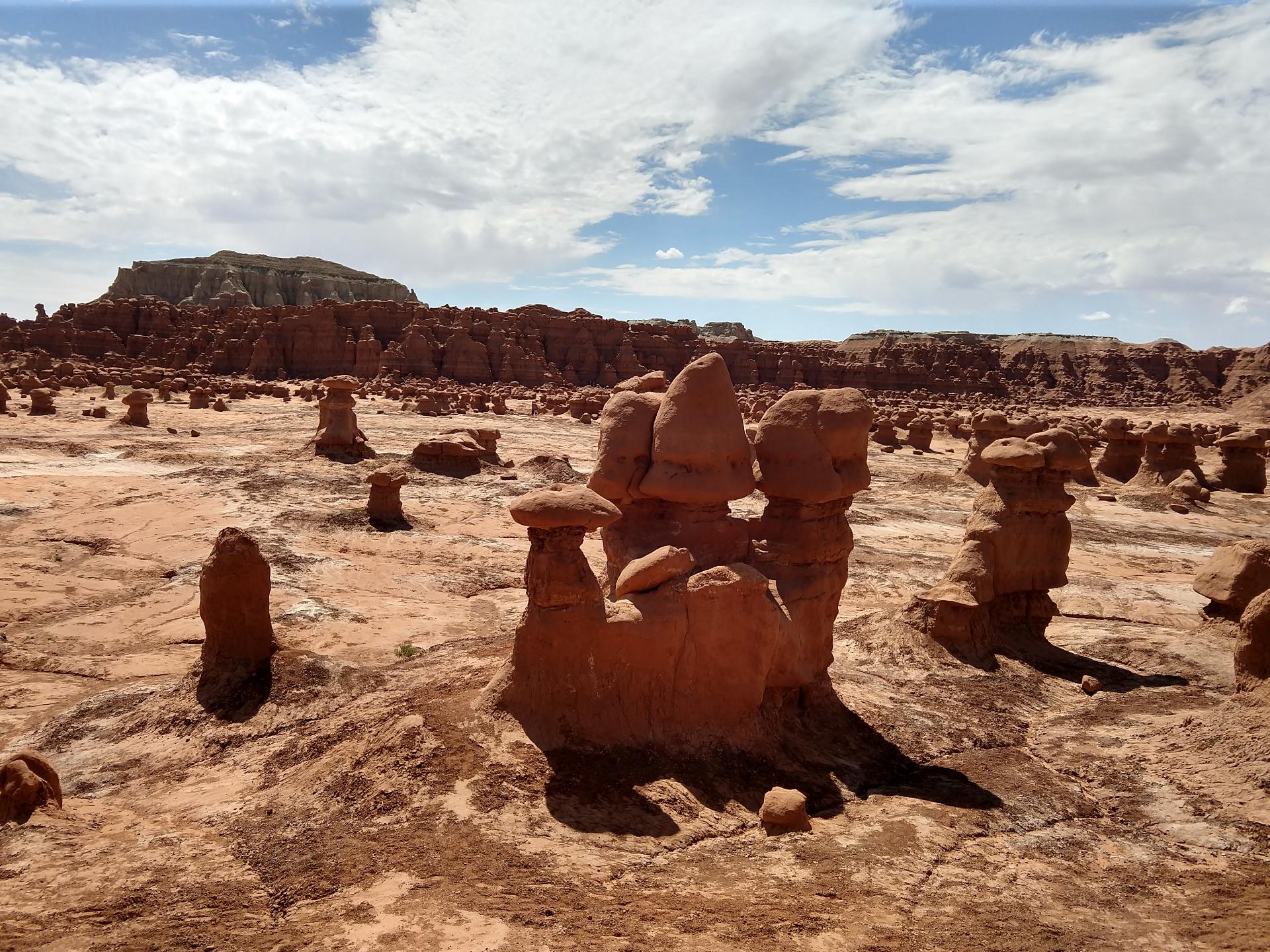 D20230514F111548561sm