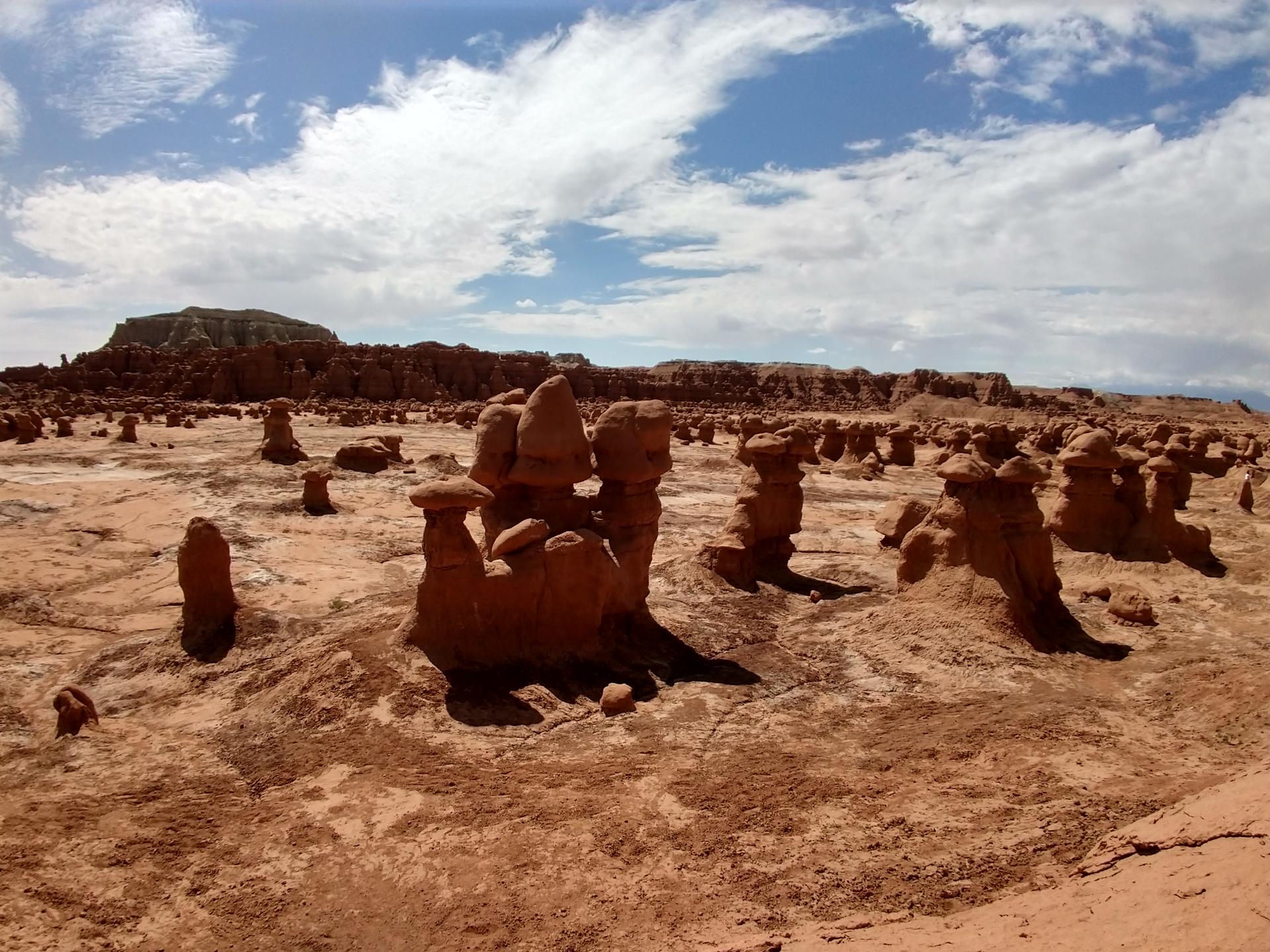 D20230514F111555609sm