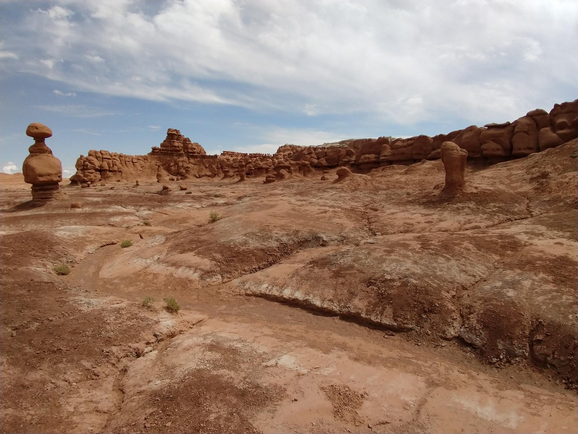 D20230514F114944196sm