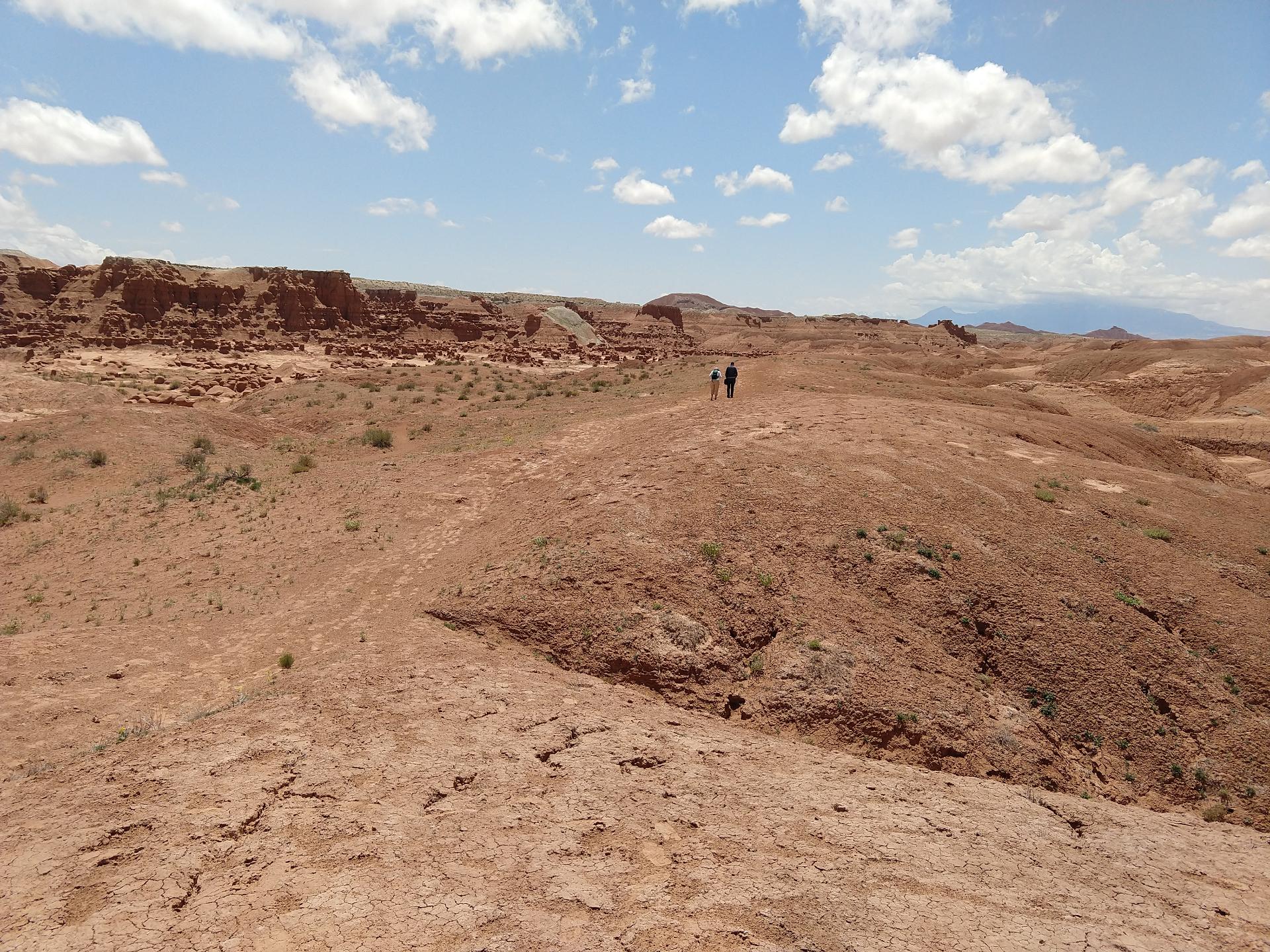 D20230514F125536716sm