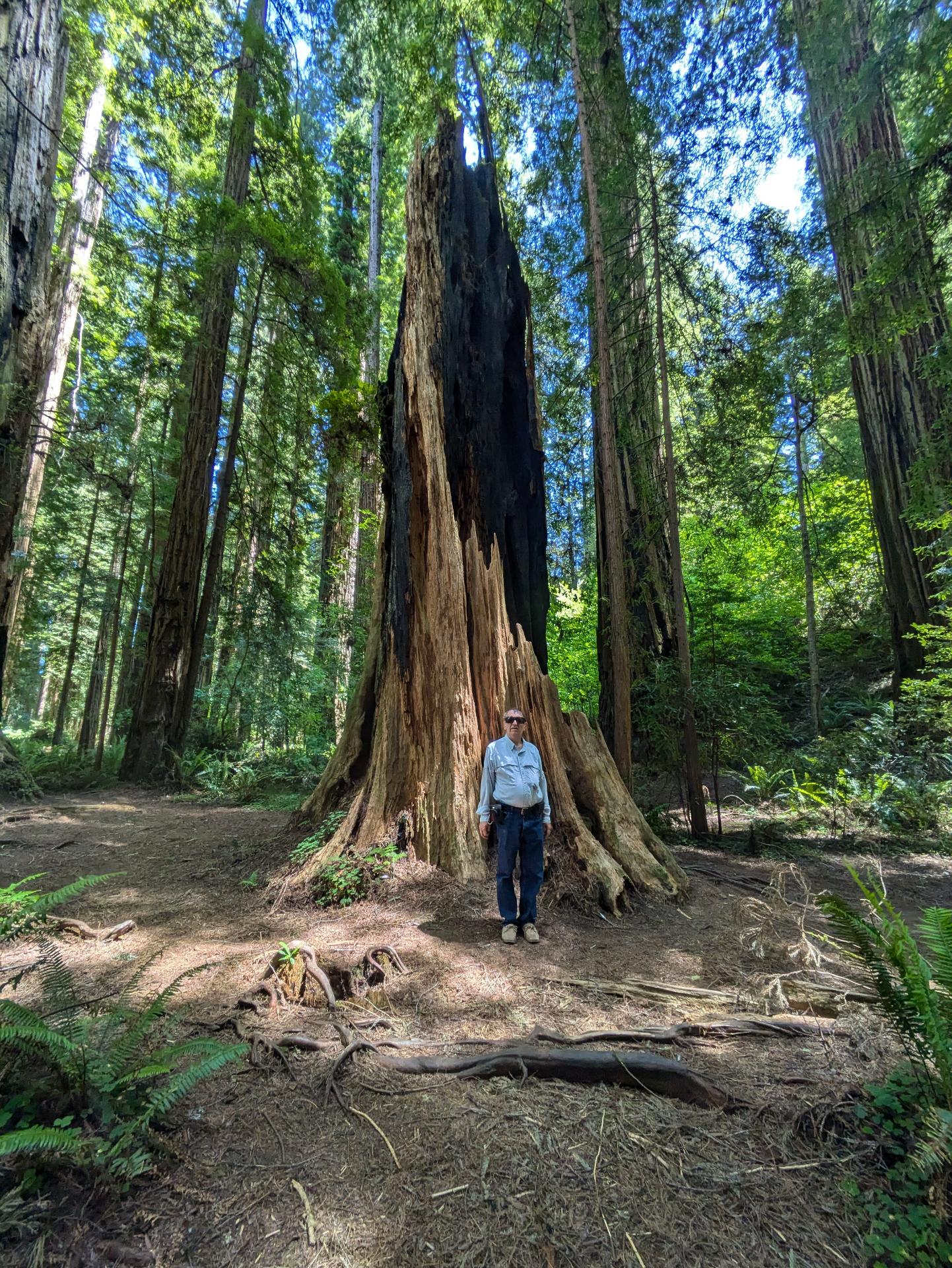 PXL_20250603_210411201sm