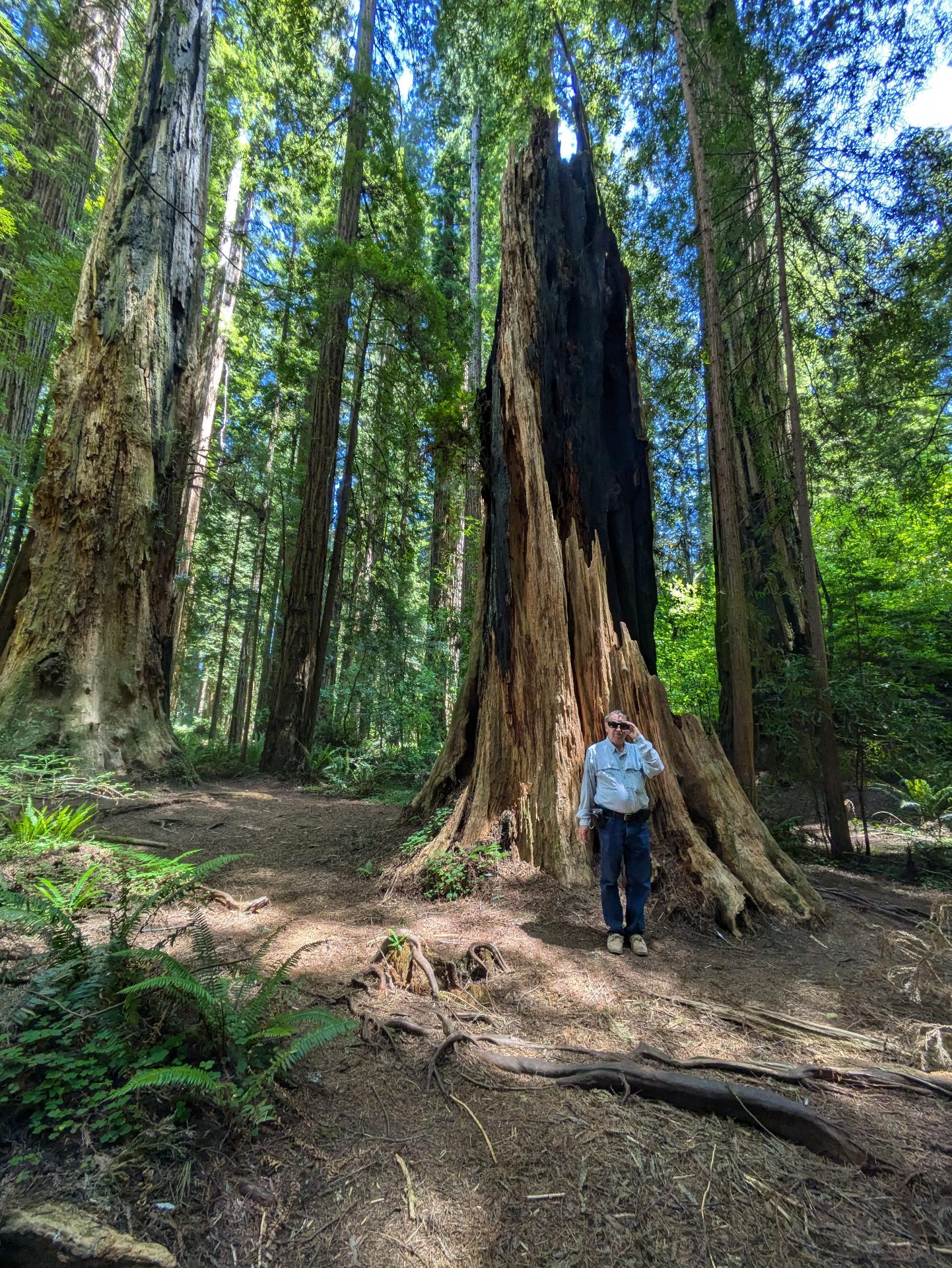 PXL_20250603_210414752sm